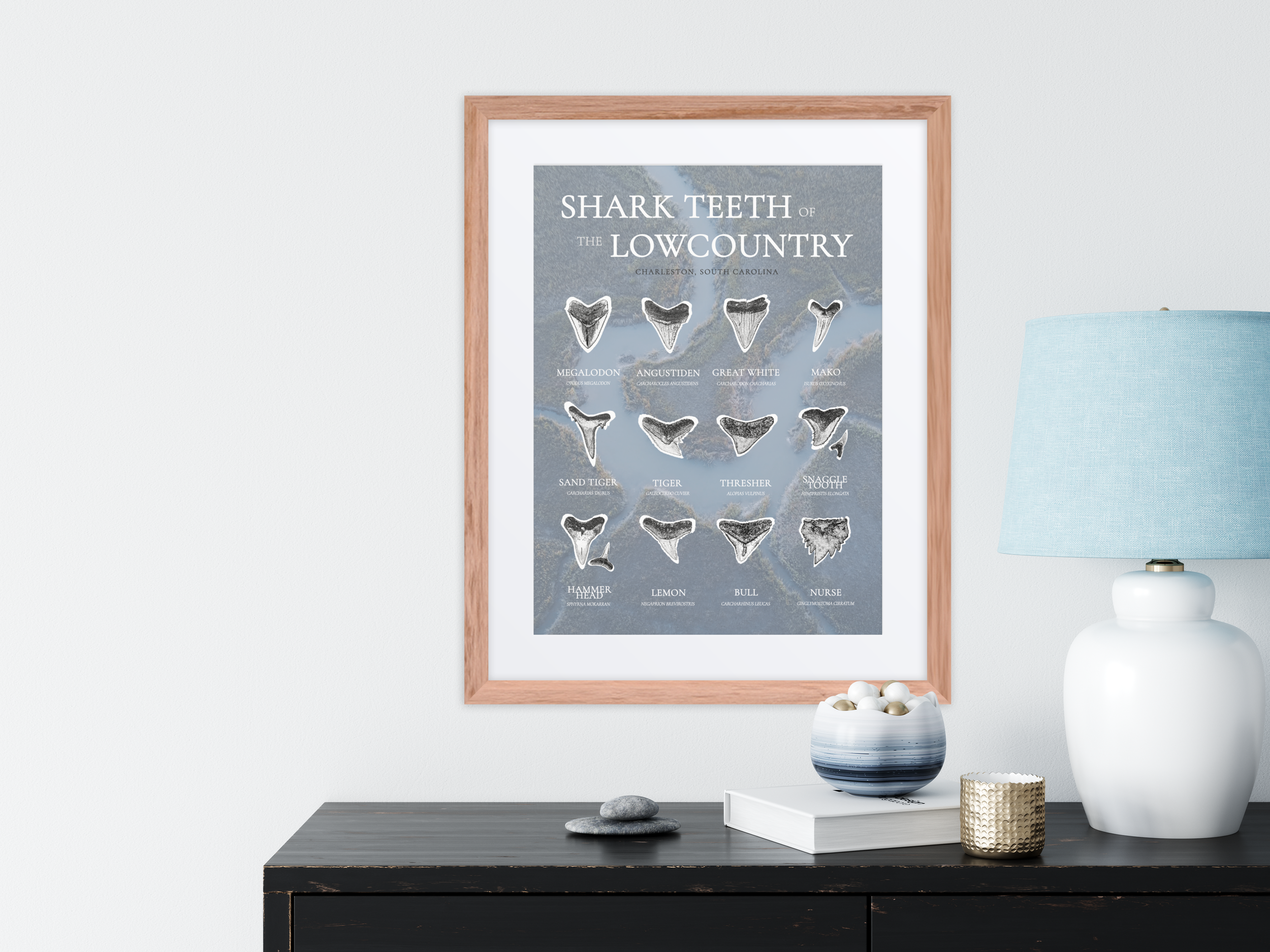 colorful tan ident.png