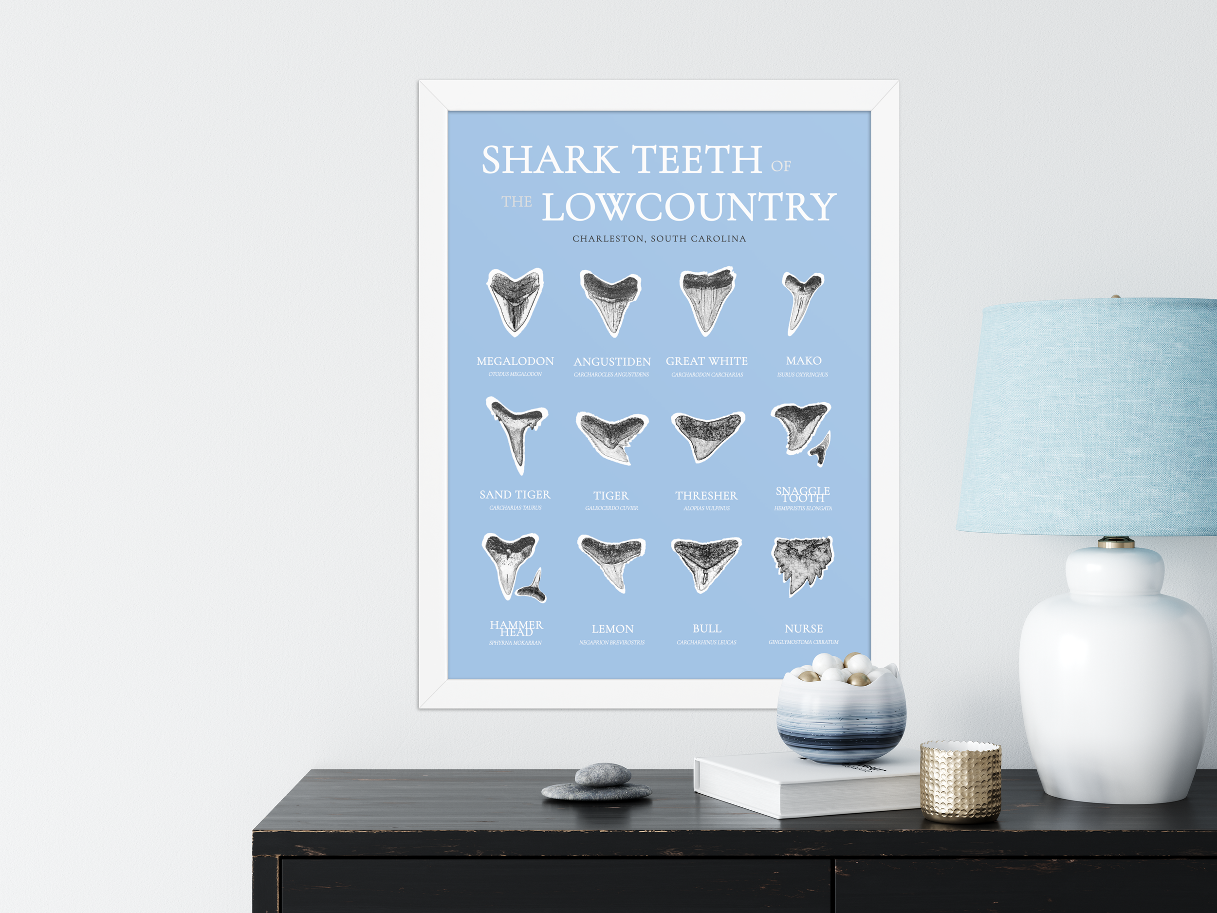 blue identification white.png