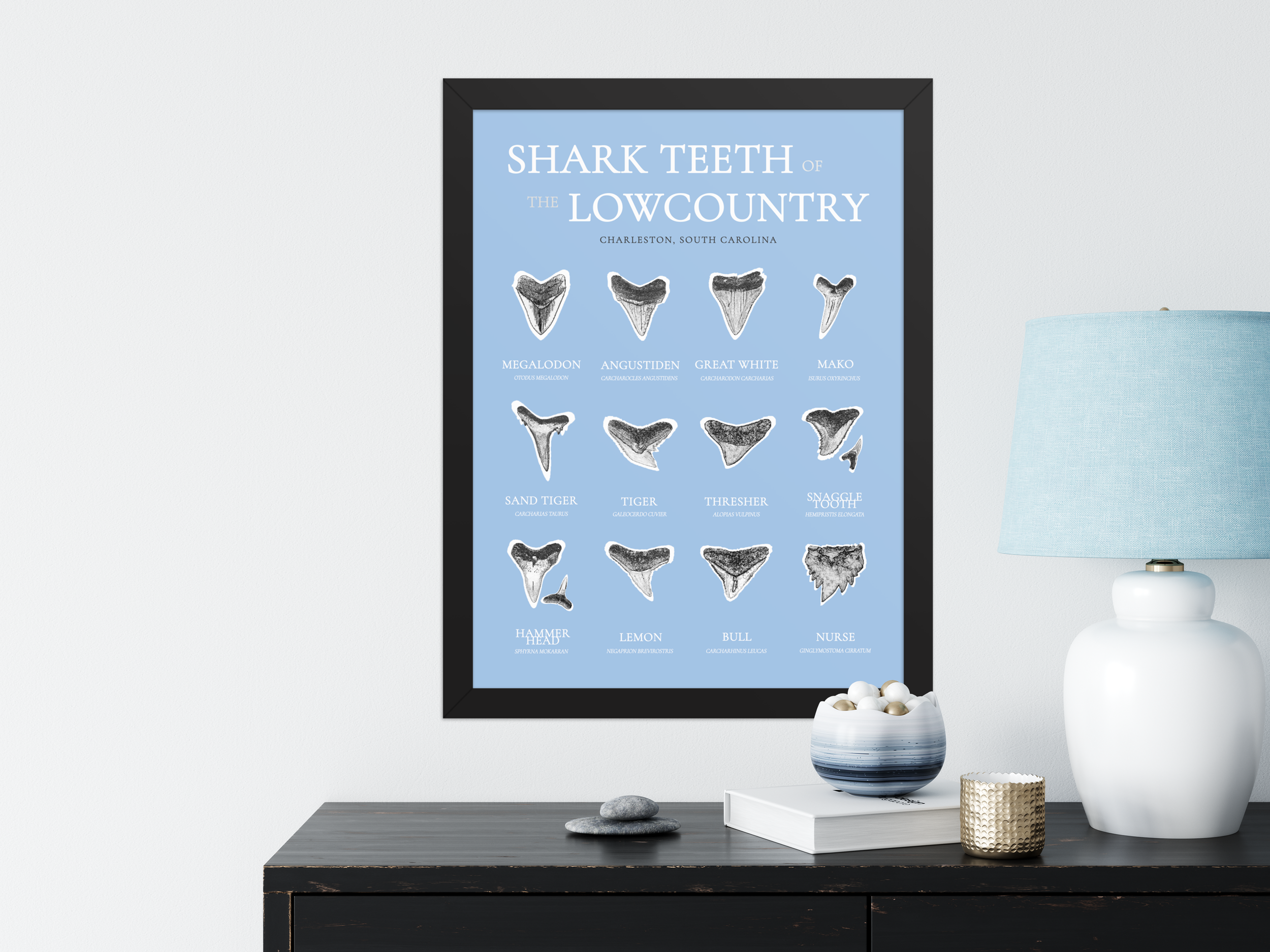 blue identification black.png