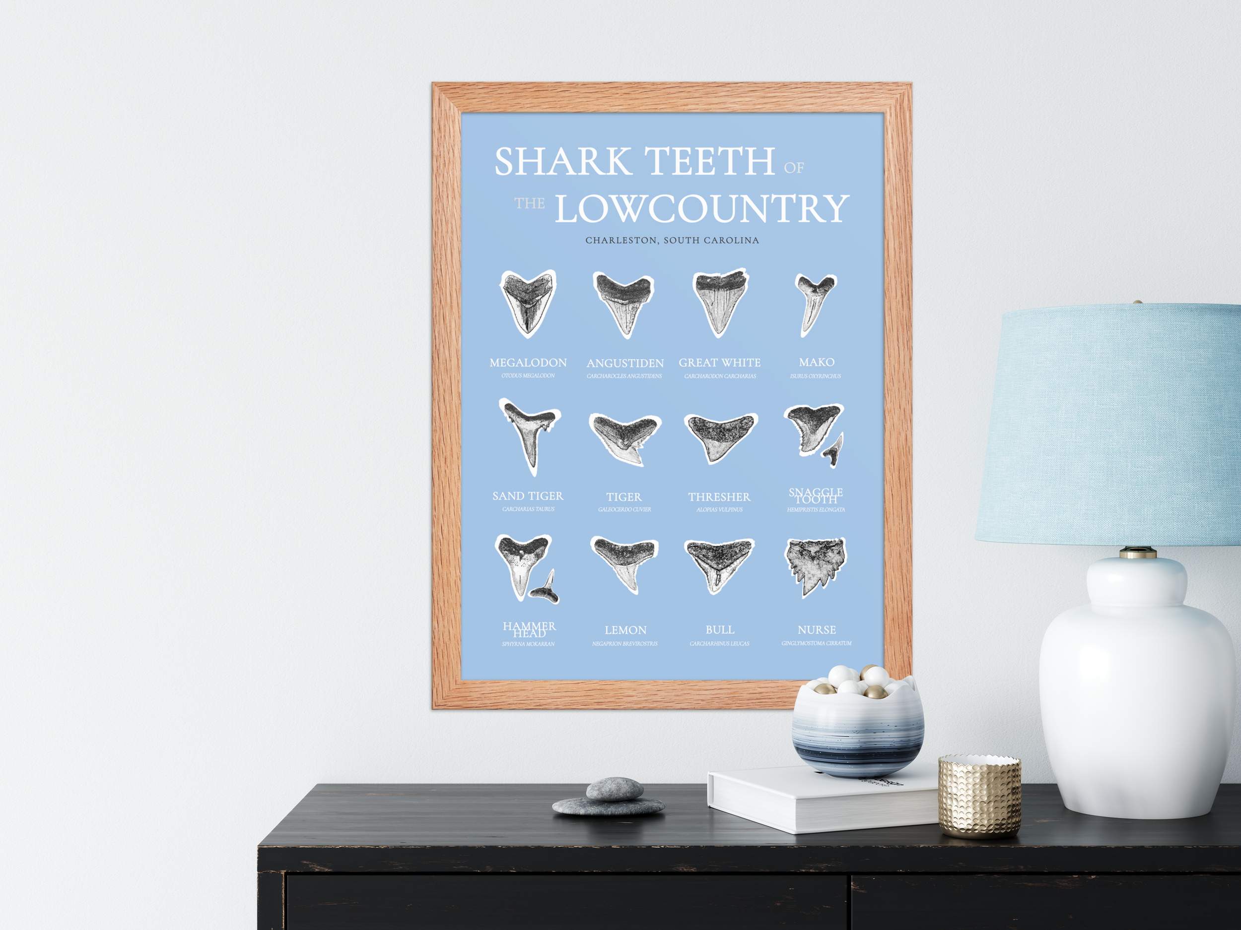 blue identification tan.png