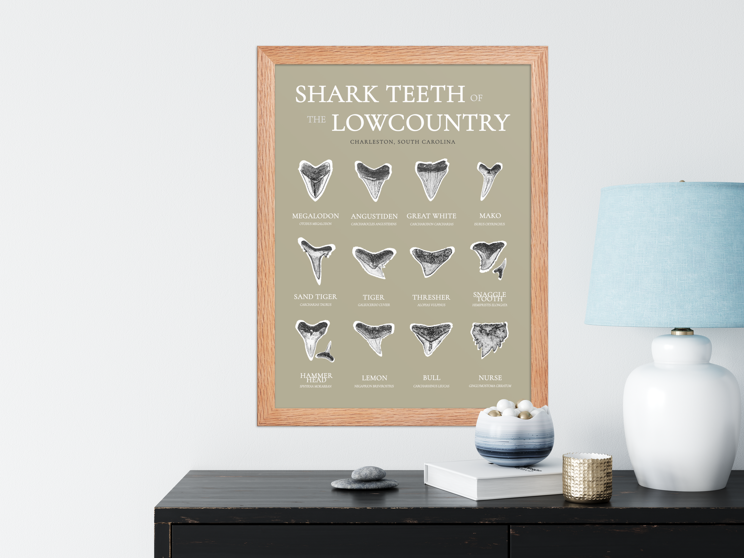 tan identification tan.png