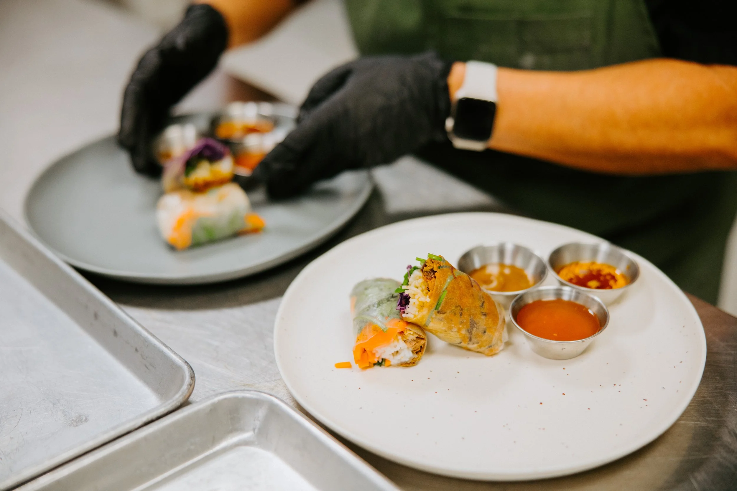 VFSF Bibisol Post_0004.JPG