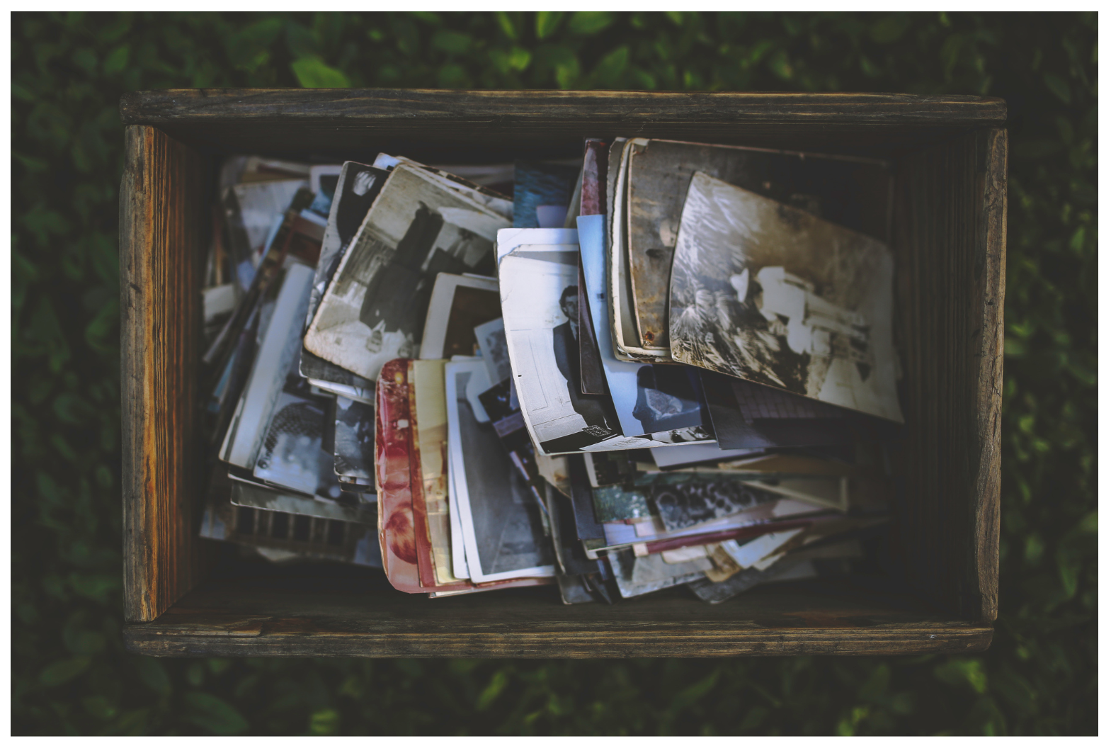 A wooden box filled with assorted black and white and color photographs, placed outdoors on grassy ground.
