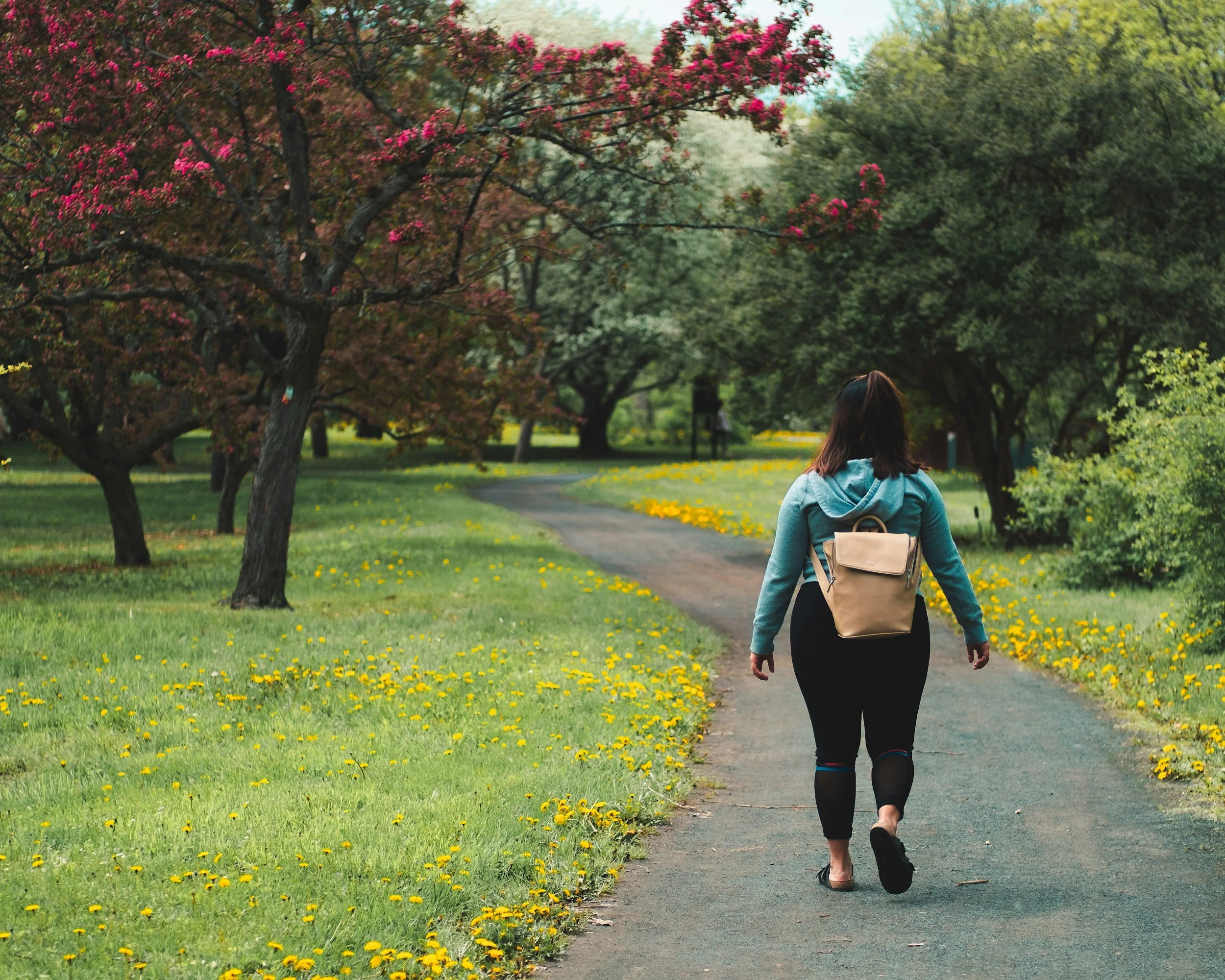 A woman walking along a park pathway lined with green grass and yellow dandelions, surrounded by trees with pink and green foliage.