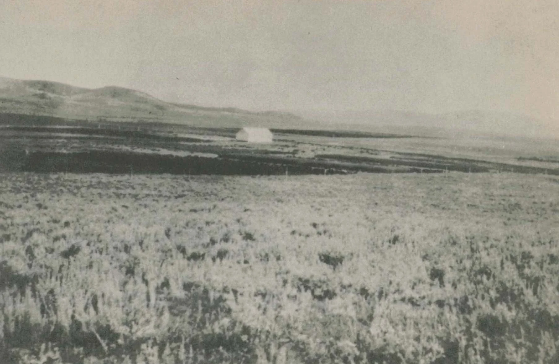 jireh 1 dryland farm.jpg