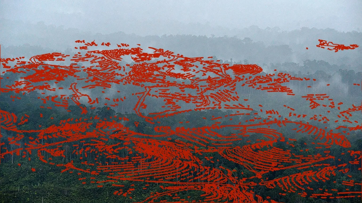 Paths of Destruction