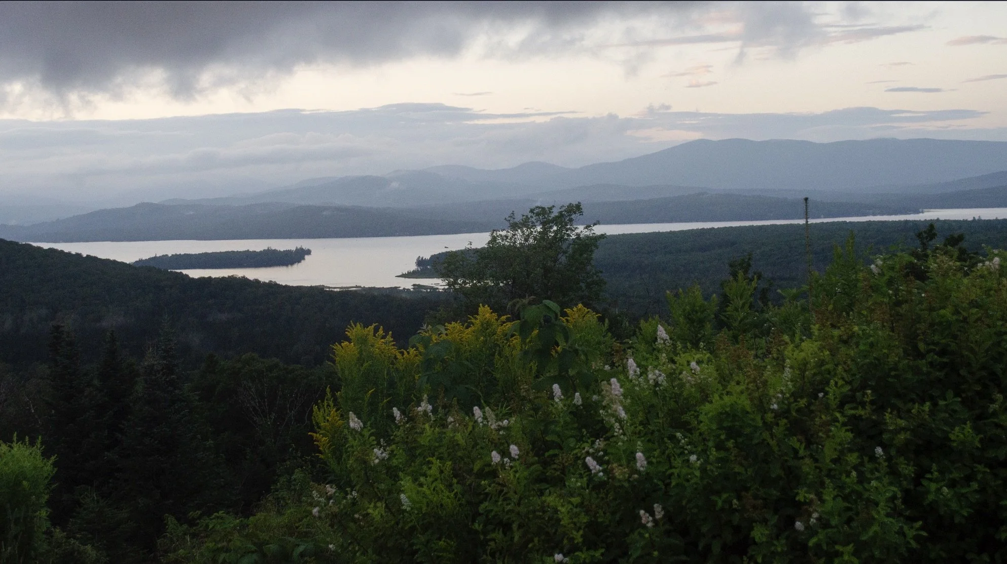 Screenshot 2025-09-02 at 1.53.39 PM.jpeg