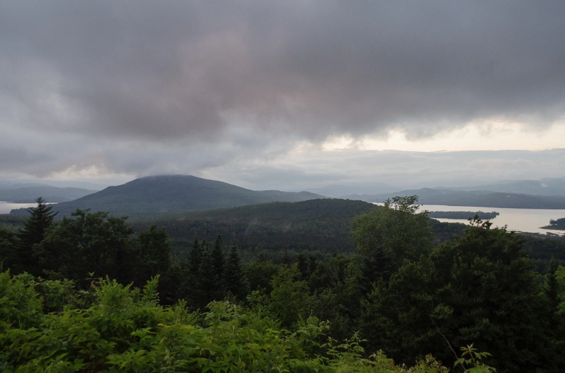 Screenshot 2025-09-02 at 1.53.28 PM.jpeg