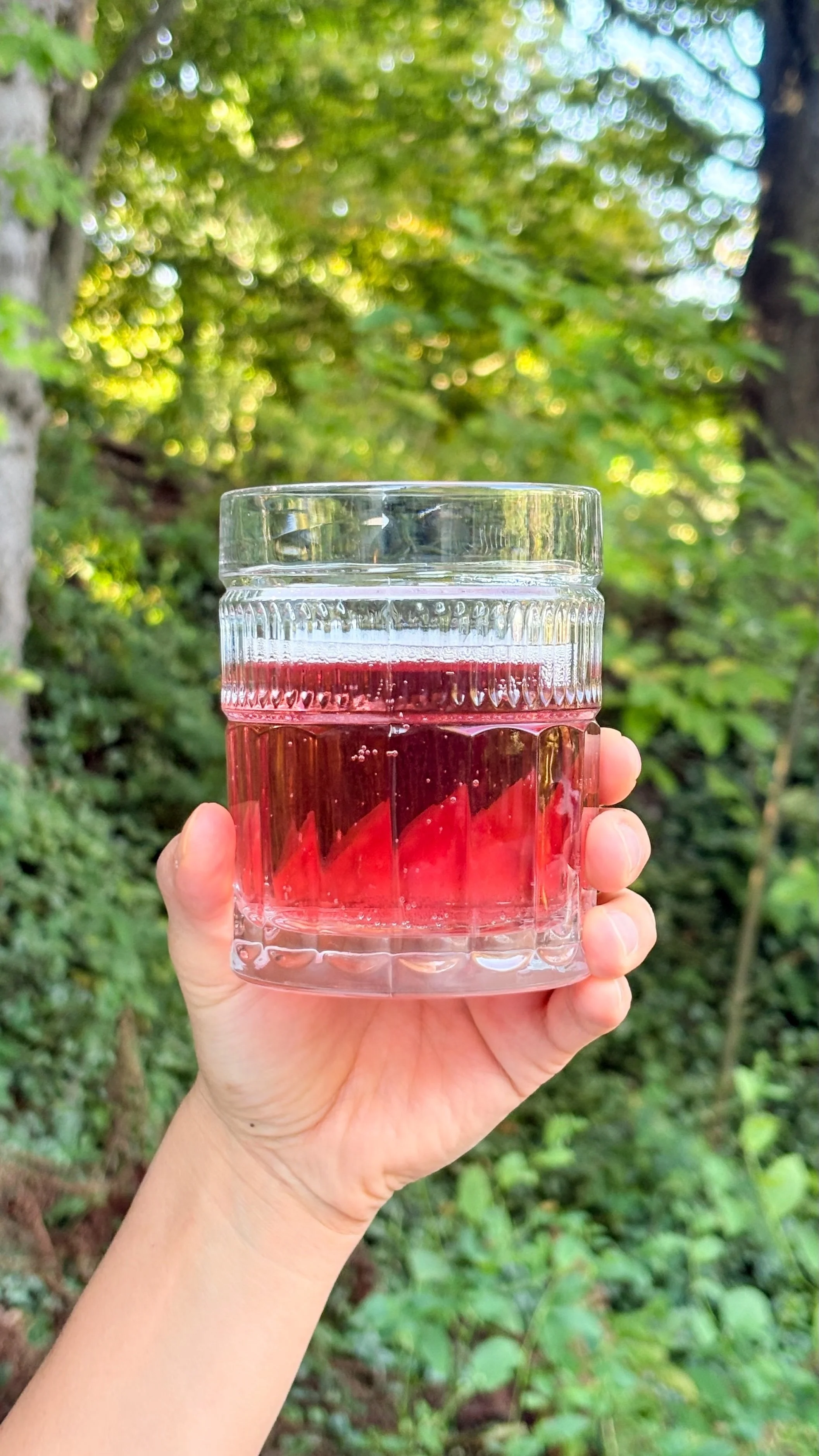 Schoharie Tripoint glass with hand.jpg