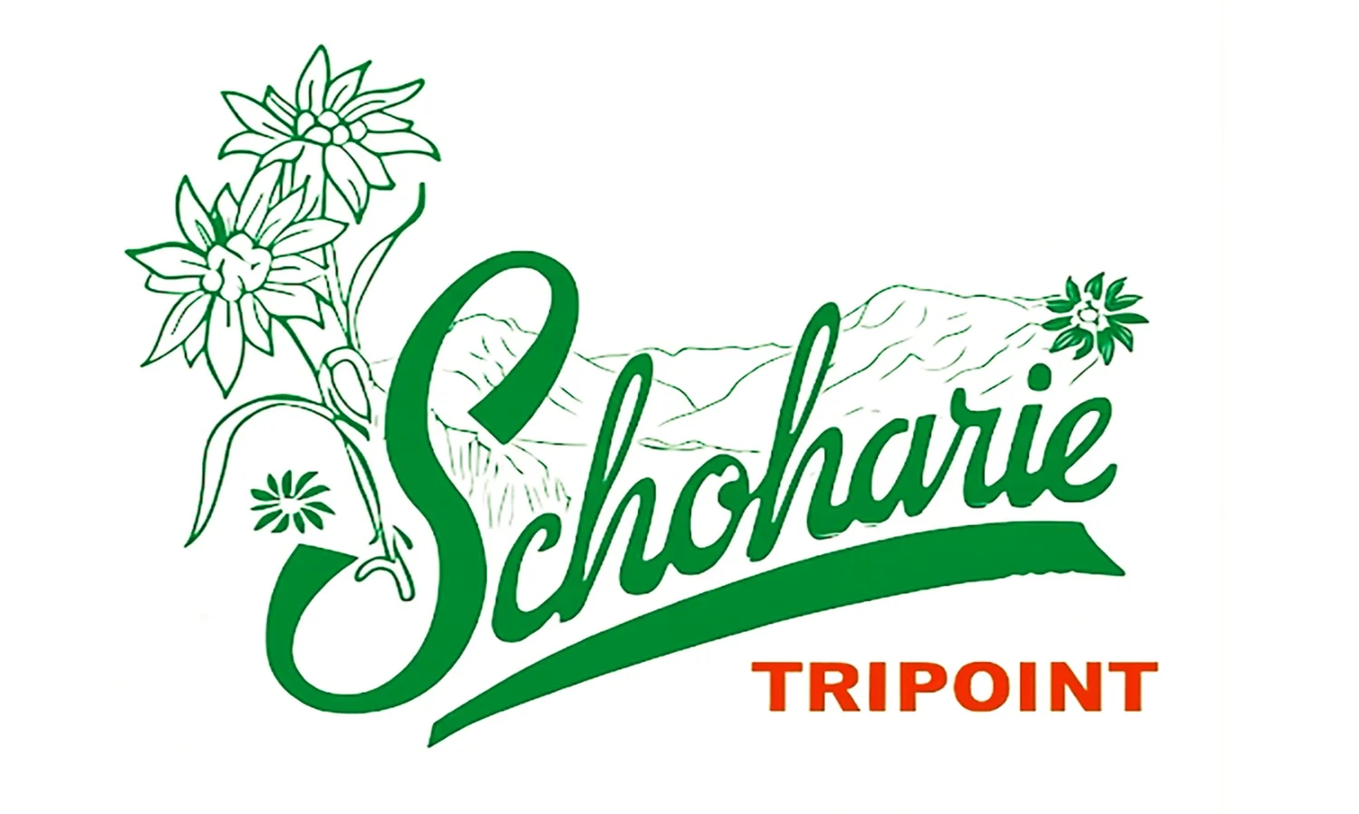 Schoharie Tripoint
