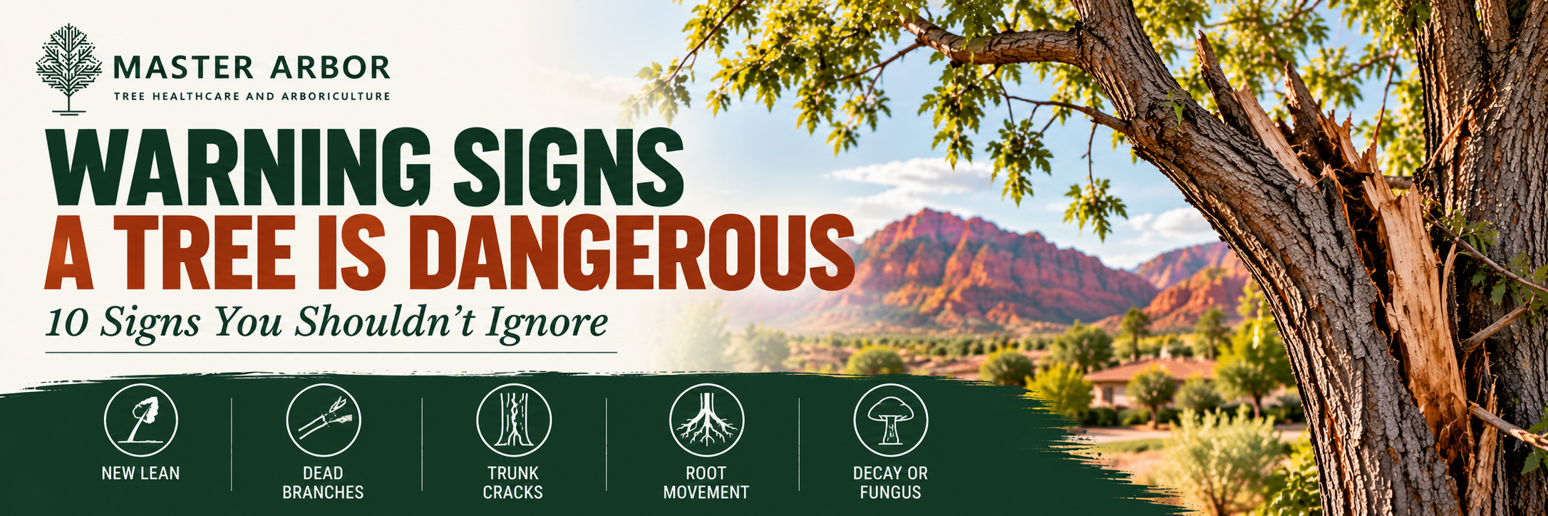 Warning signs a tree is dangerous in Southern Utah, including trunk cracks, dead branches, root movement and decay