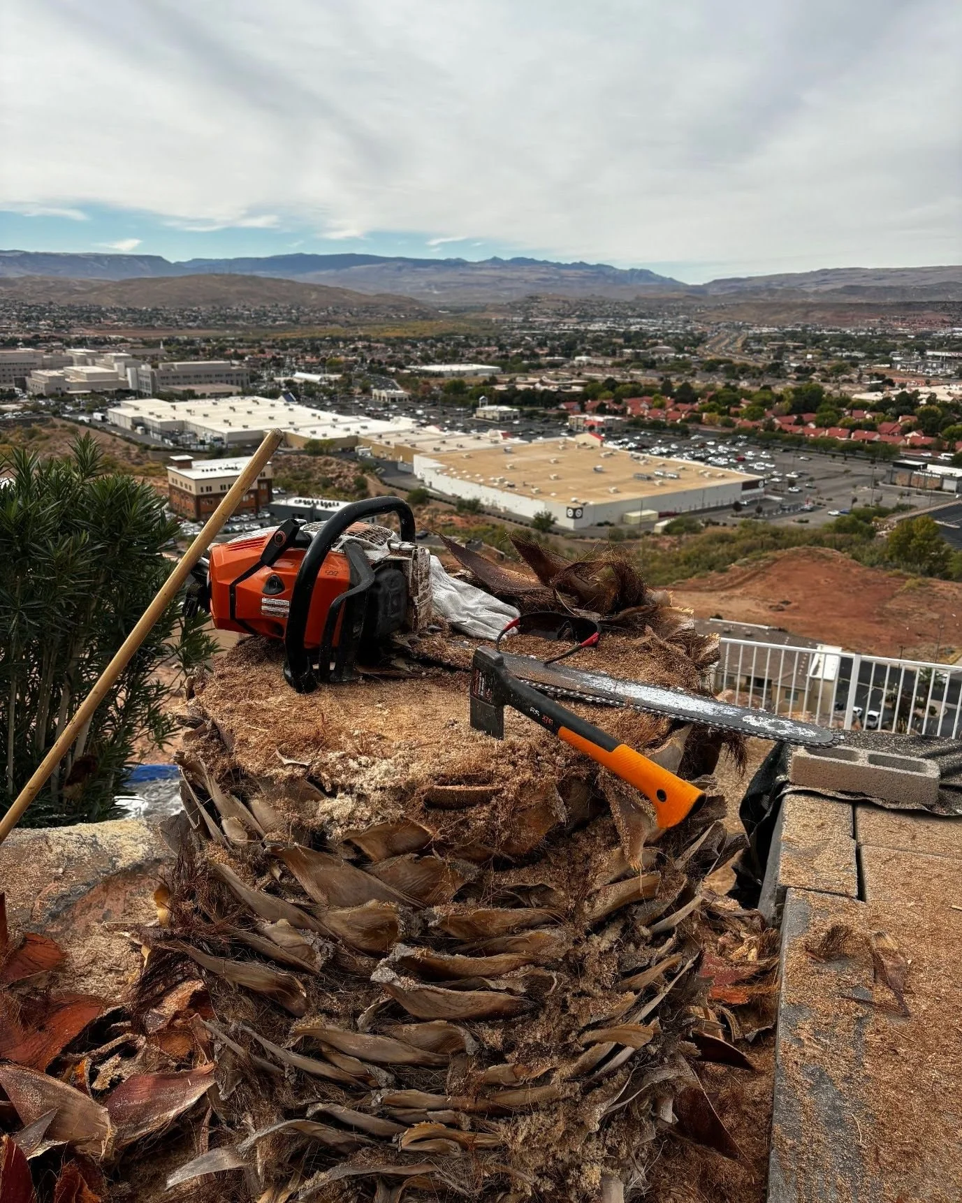 🌳 Up in the Trees, Hard at Work 🌳

At Master Arbor Tree Service, we don&rsquo;t just climb trees &mdash; we climb high for a reason. Every day, we put in the hard work to care for the trees that shape our neighborhoods and skyline. It's tough, ph