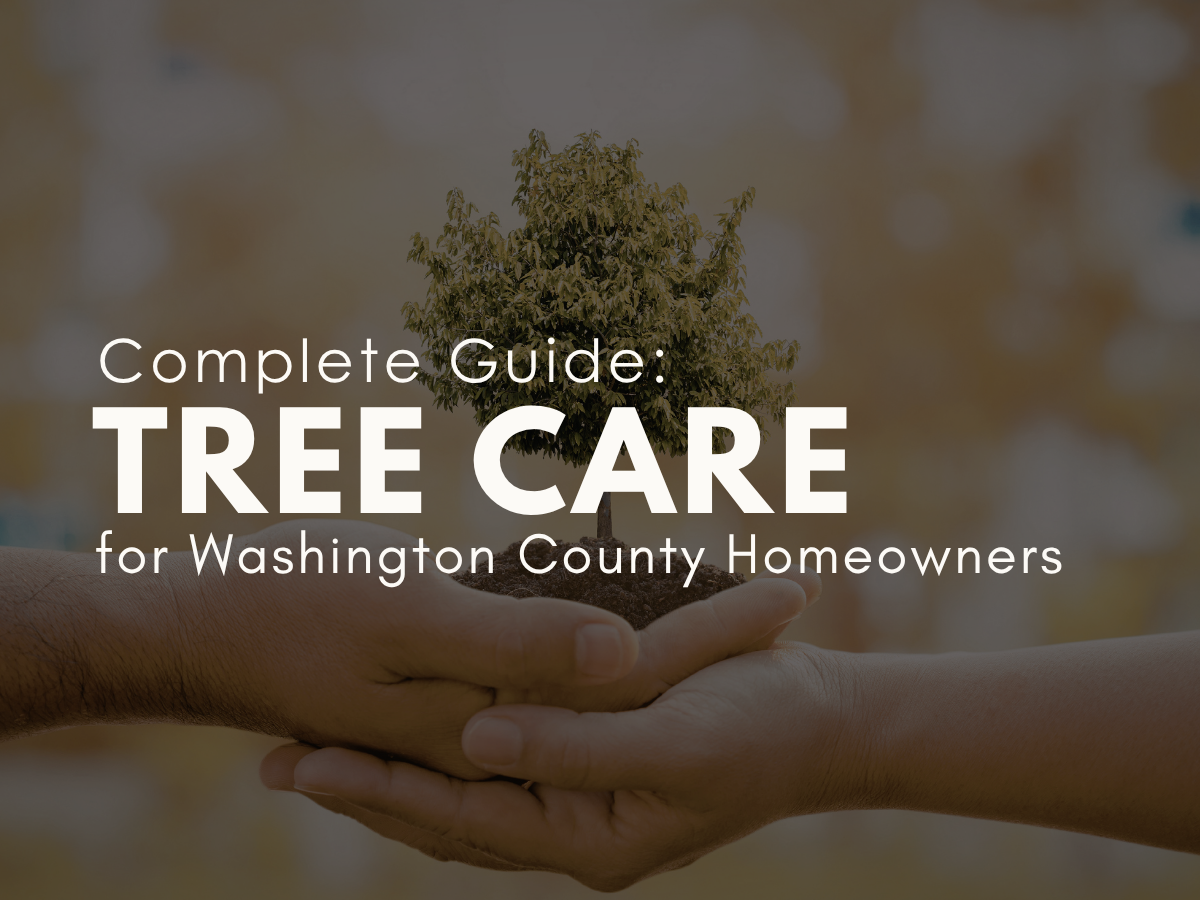 Tree Care in Southern Utah: A Complete Guide for Washington County Homeowners
