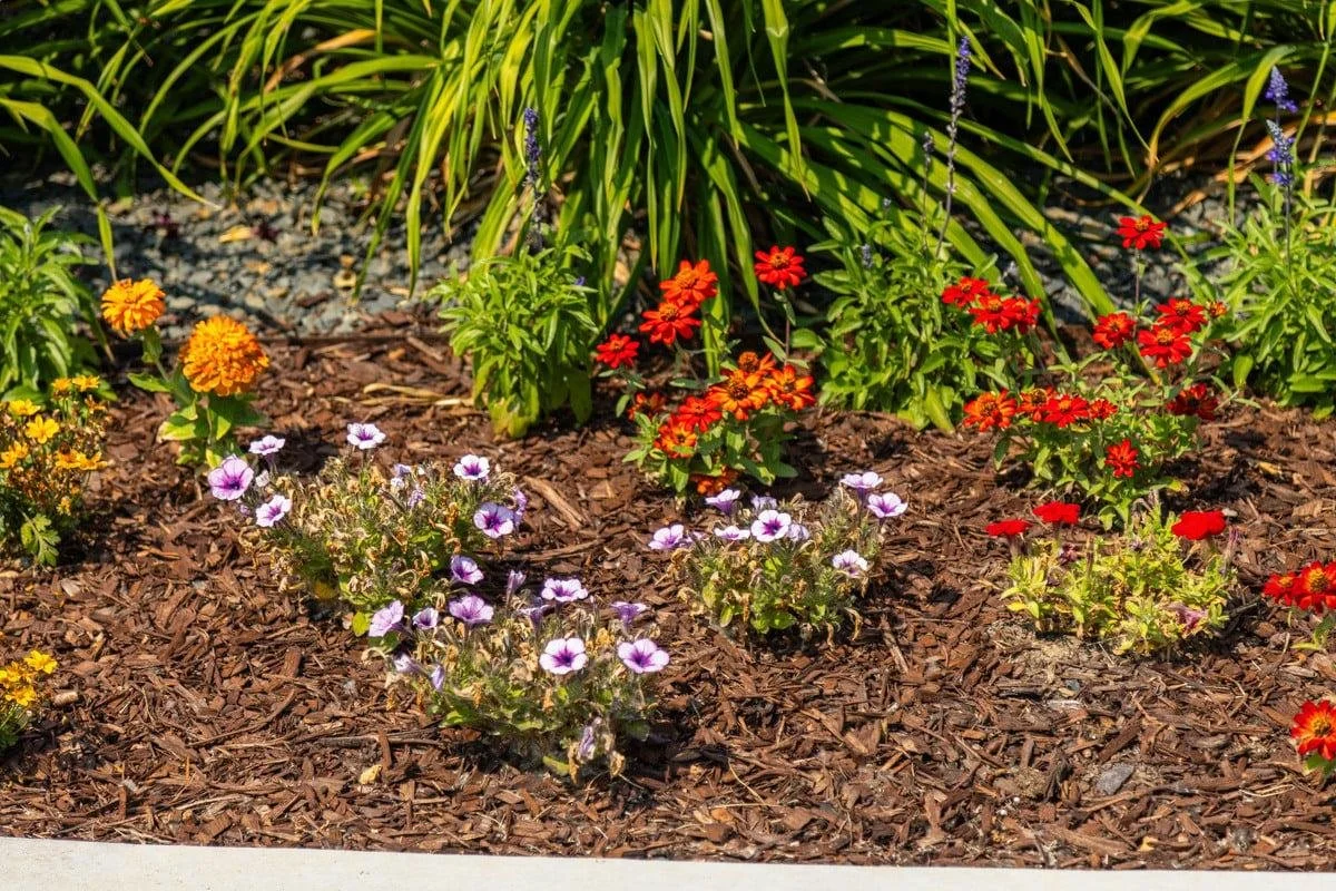 southern utah mulch 2.jpeg