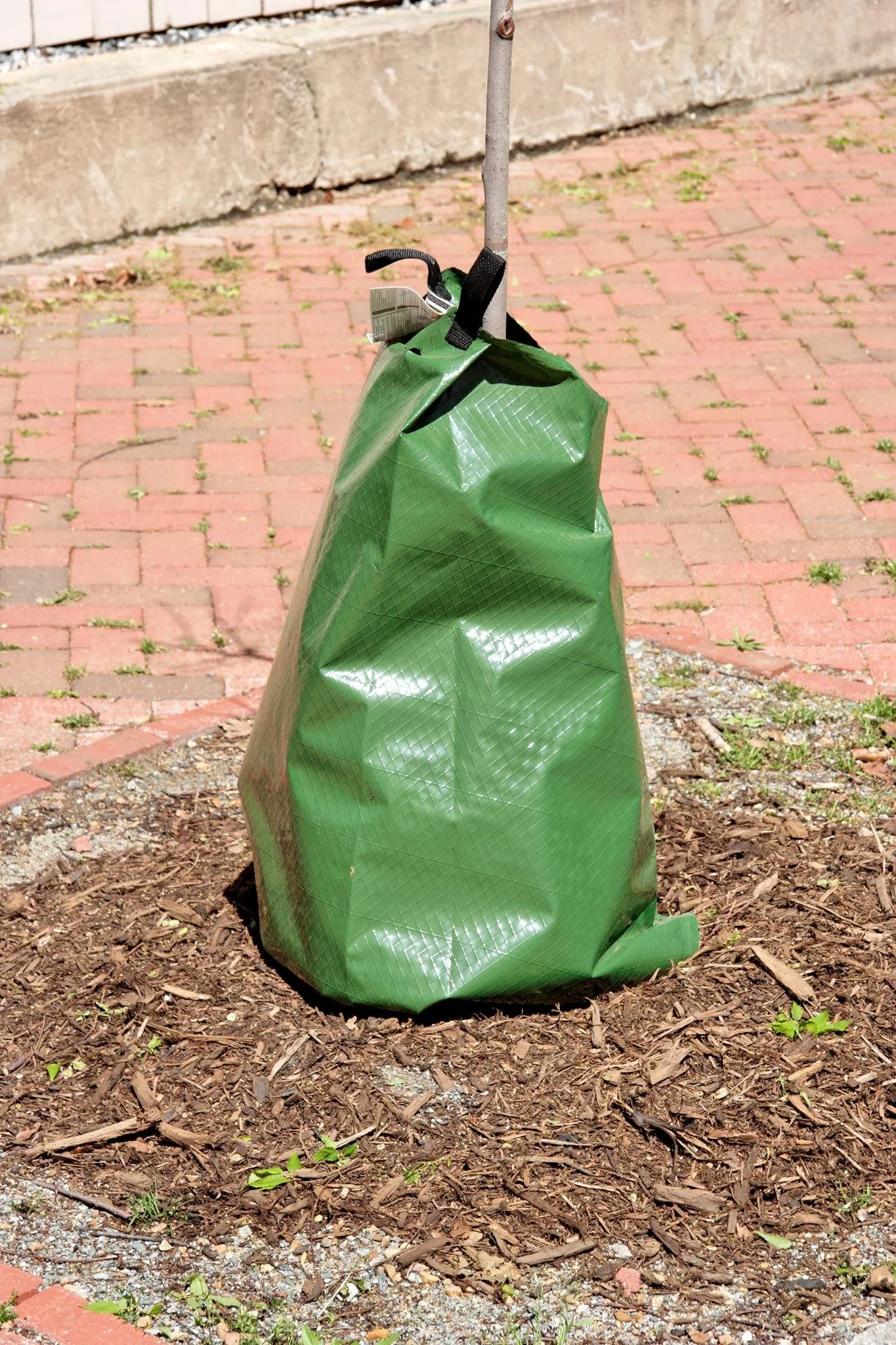 tree bag southern utah.jpeg