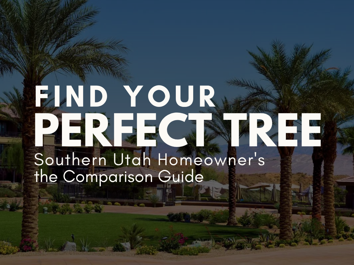 Find Your Perfect Tree: The Southern Utah Homeowner's Comparison Guide