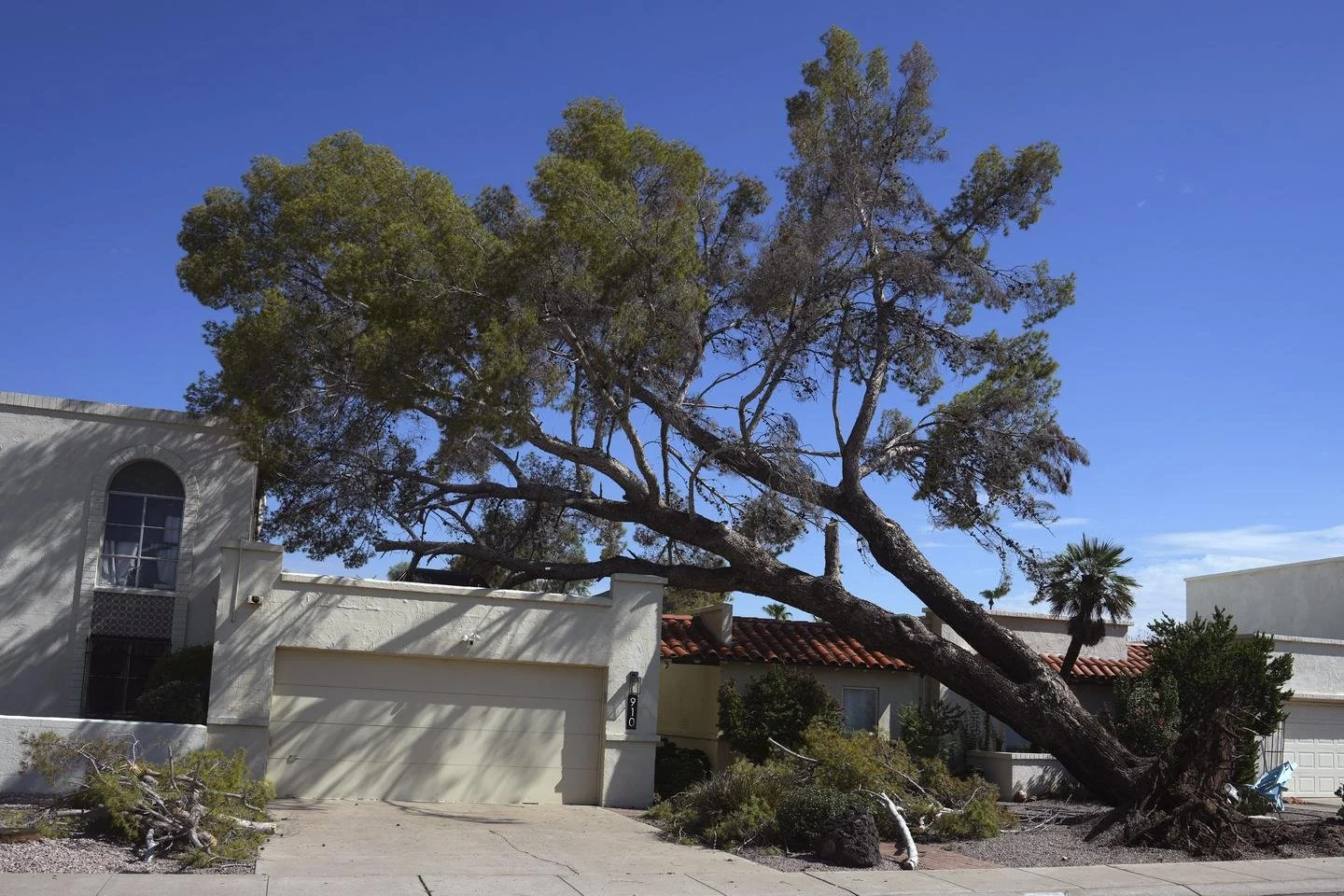 After fearsome dust storm rips Phoenix area, trees cleaned up and power restored.jpeg