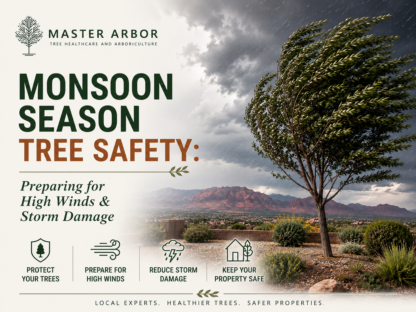 Monsoon Season Tree Safety: Preparing for High Winds &amp; Storm Damage