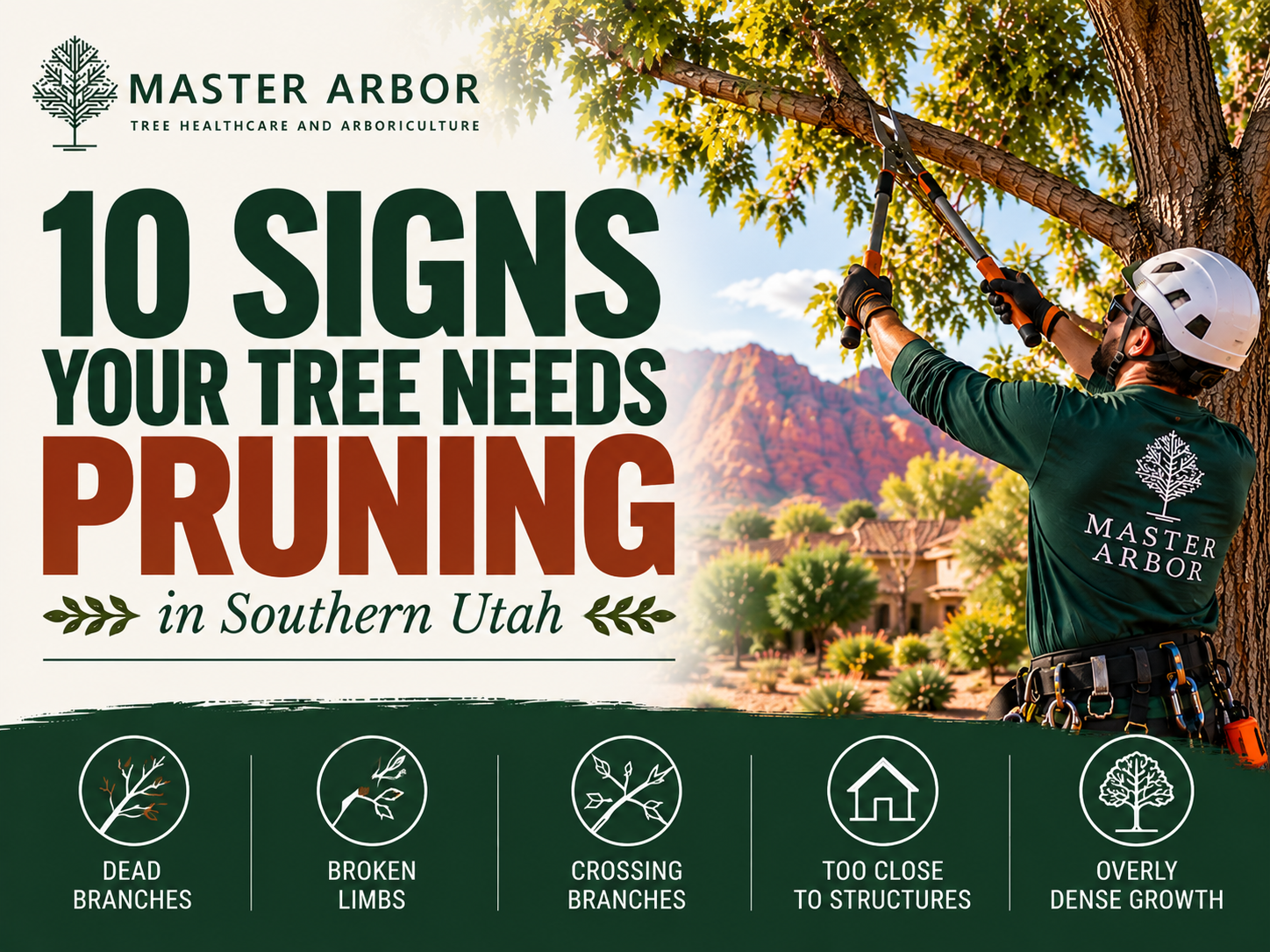 10 Signs Your Tree Needs Pruning in Southern Utah