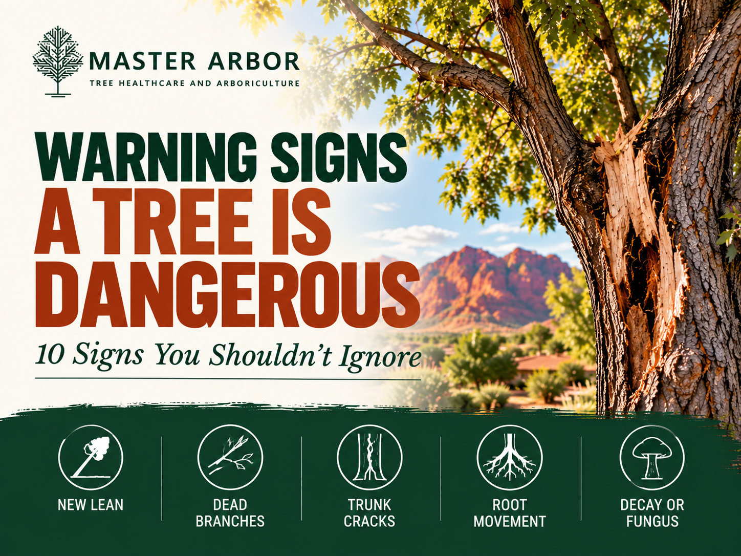 Warning Signs a Tree Is Dangerous: 10 Signs You Shouldn’t Ignore