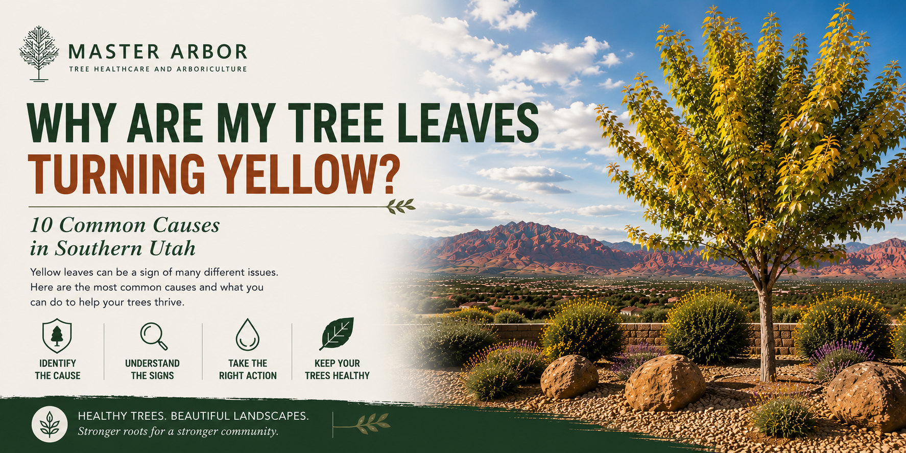 Master Arbor Tree Health Guide