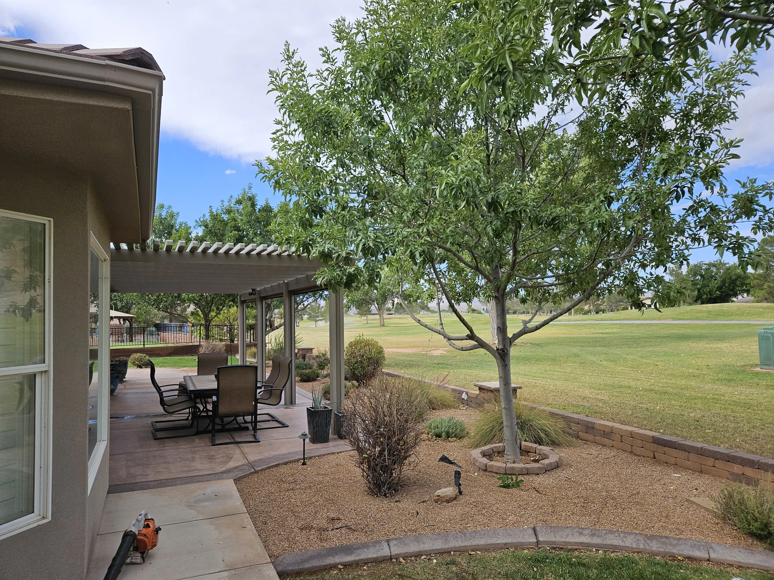 A residential landscape in St. George, Utah featuring precision-pruned trees and clean landscaping maintained by certified arborists. This image reflects professional tree care services in Southern Utah, including expert pruning, trimming, and full-s