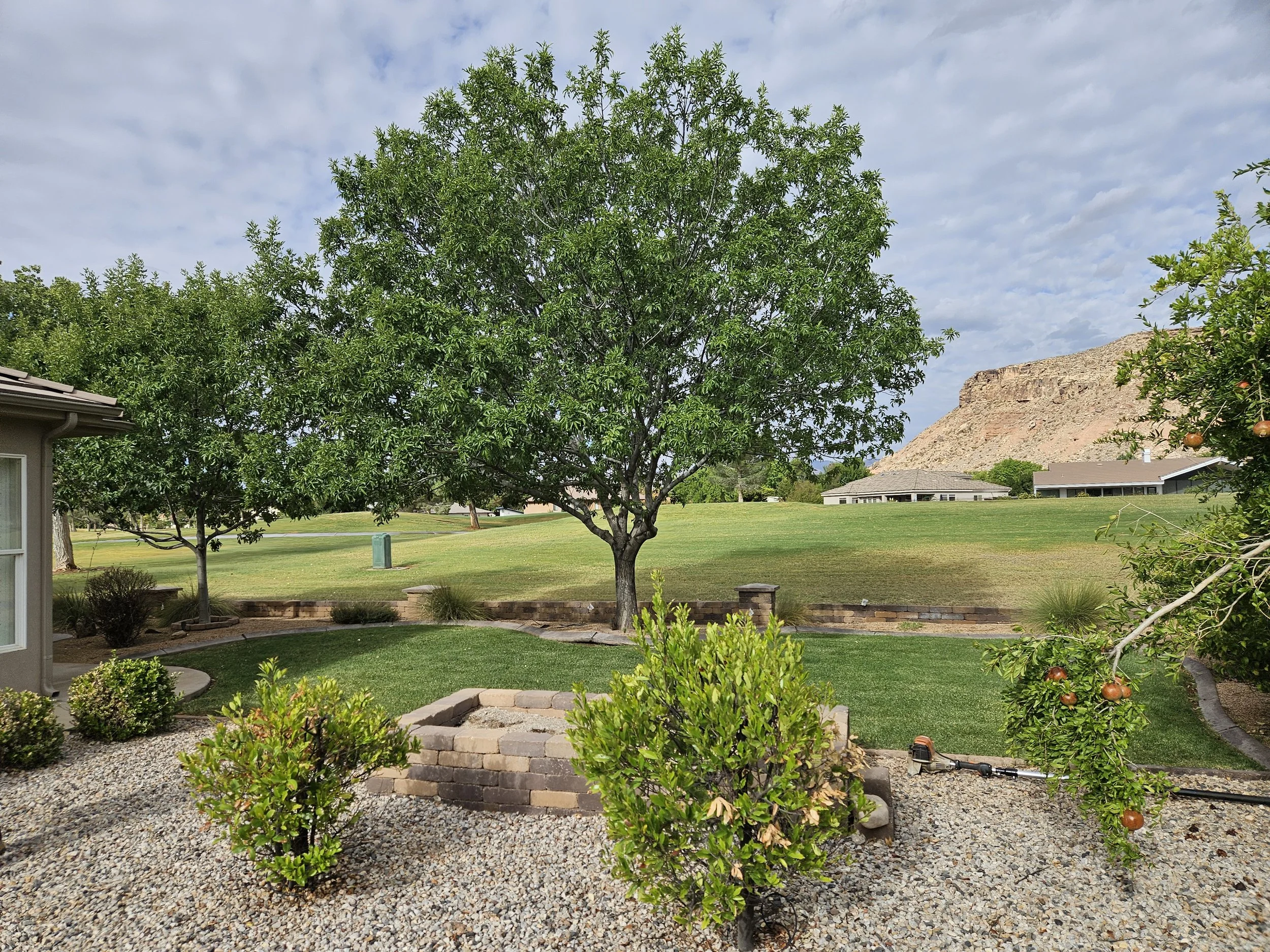 This image features a residential home in St. George, Utah with professionally pruned trees and a clean, well-maintained landscape. It highlights expert tree services in St. George Utah, including tree trimming, pruning, and complete yard care by cer