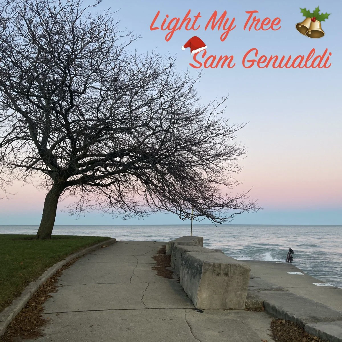  Sam Genualdi   Light My Tree (2021)  Producer, Songwriter, Electric Guitar, Mix, Master
