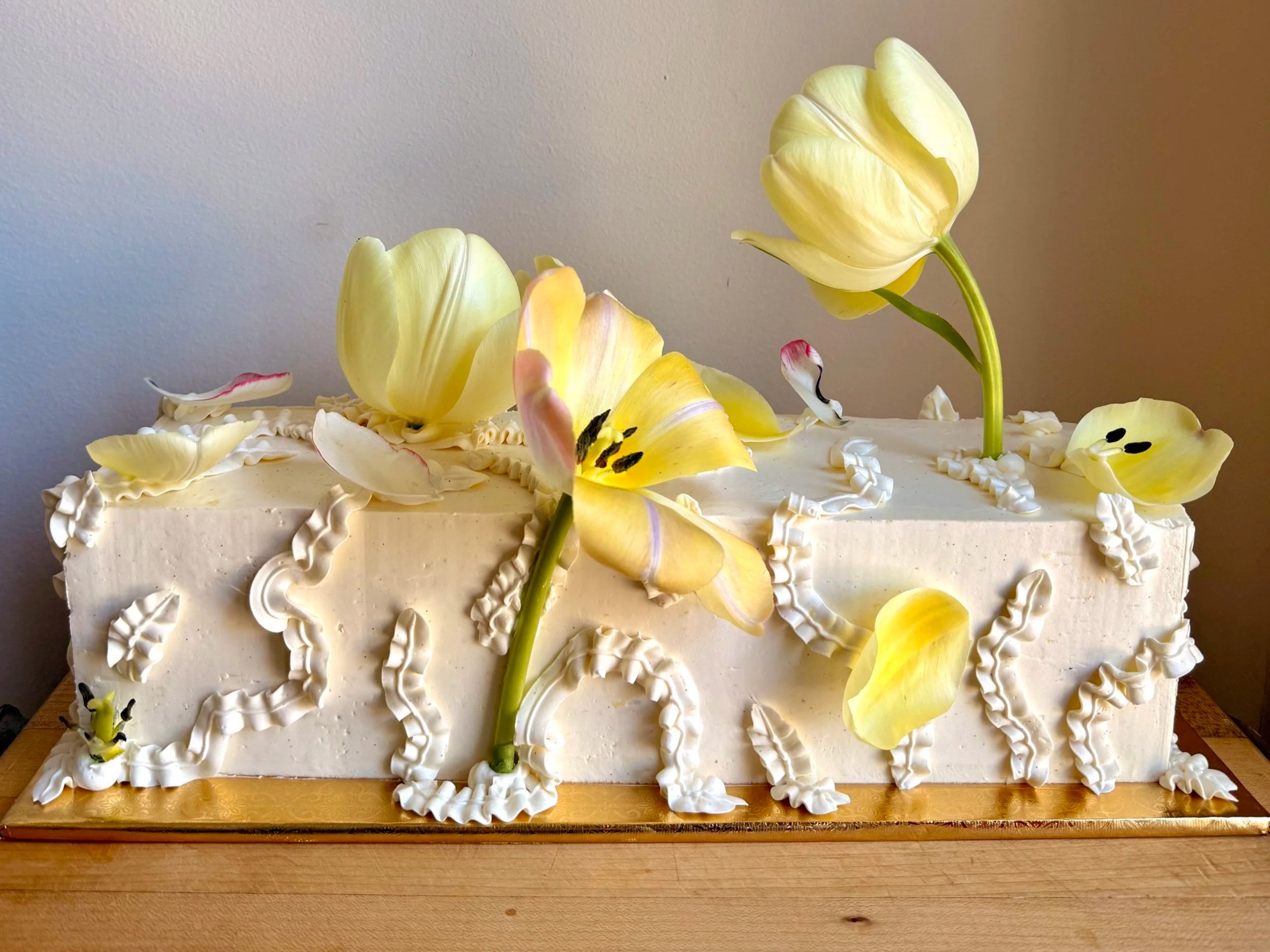 Cakescape Adventures