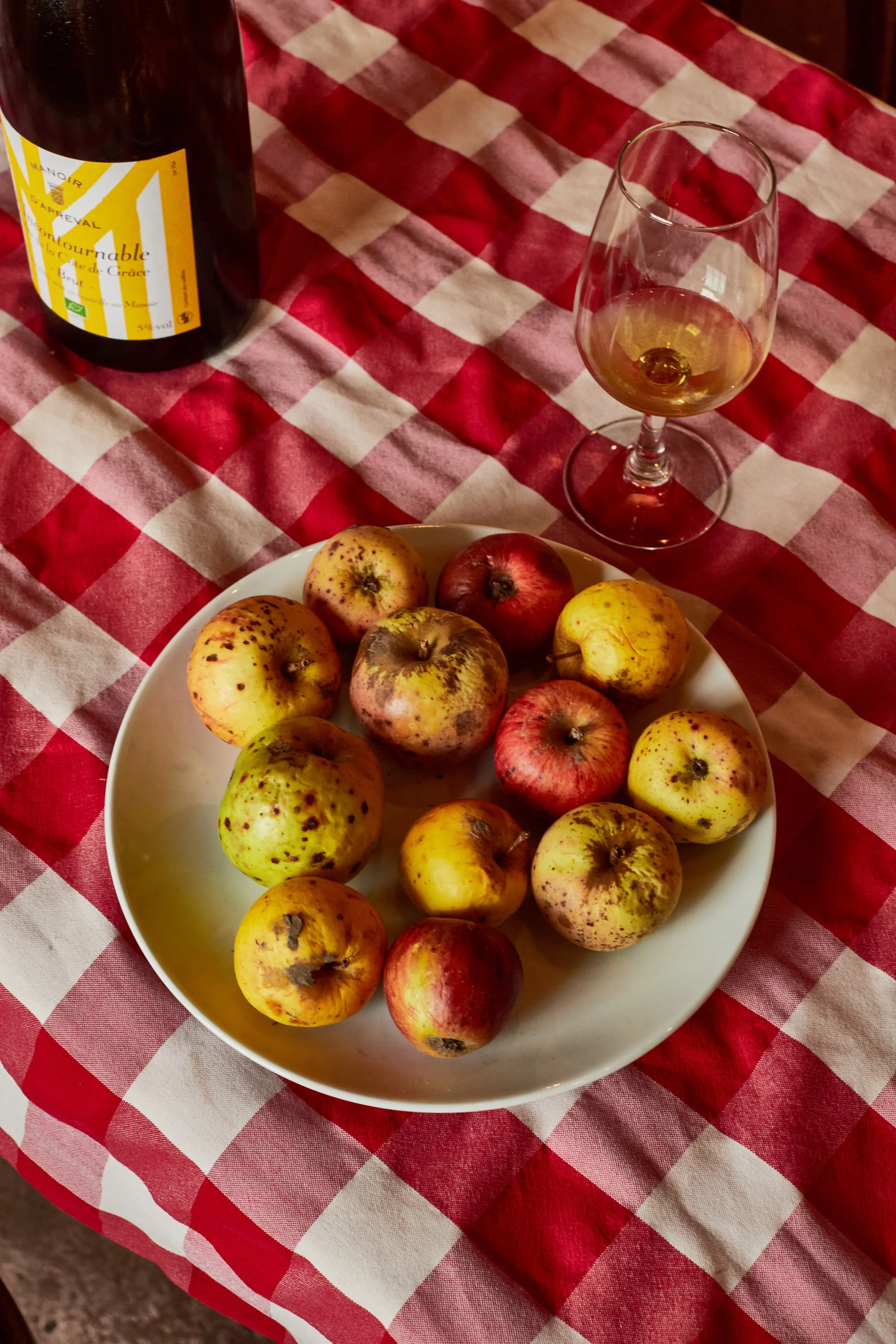 Page and Plate x KS 115.jpg