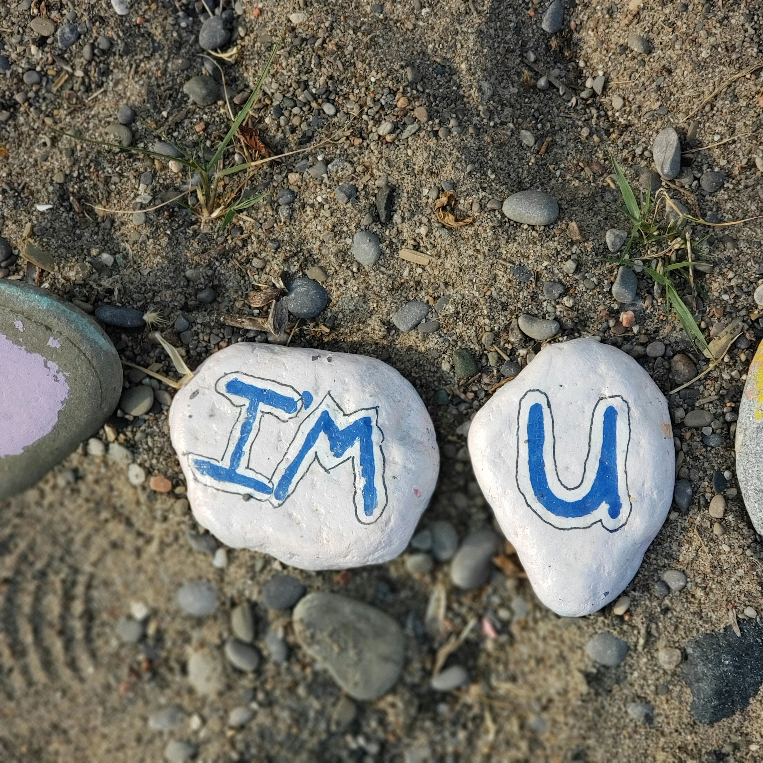 Two white painted stones with the words 'I'M' and 'U' written in blue, placed on sandy ground with small rocks and sparse grass.