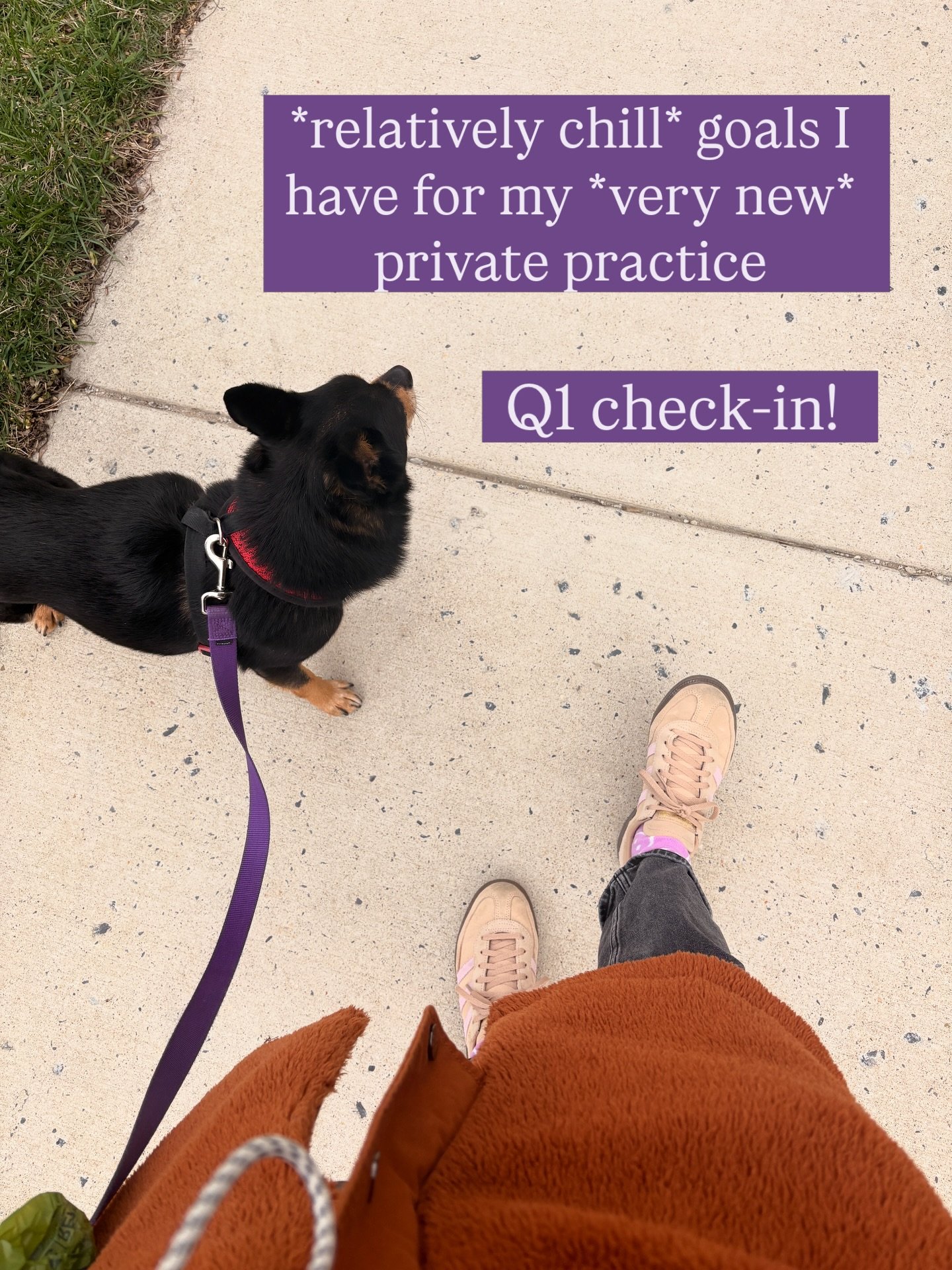 Just a lil Q1 practice growth update 🙂✨☁️🫶

Feeling really proud of myself all things considered, particularly for putting myself out there in order to make connections with other therapists. I went into this career shift thinking that I was moving