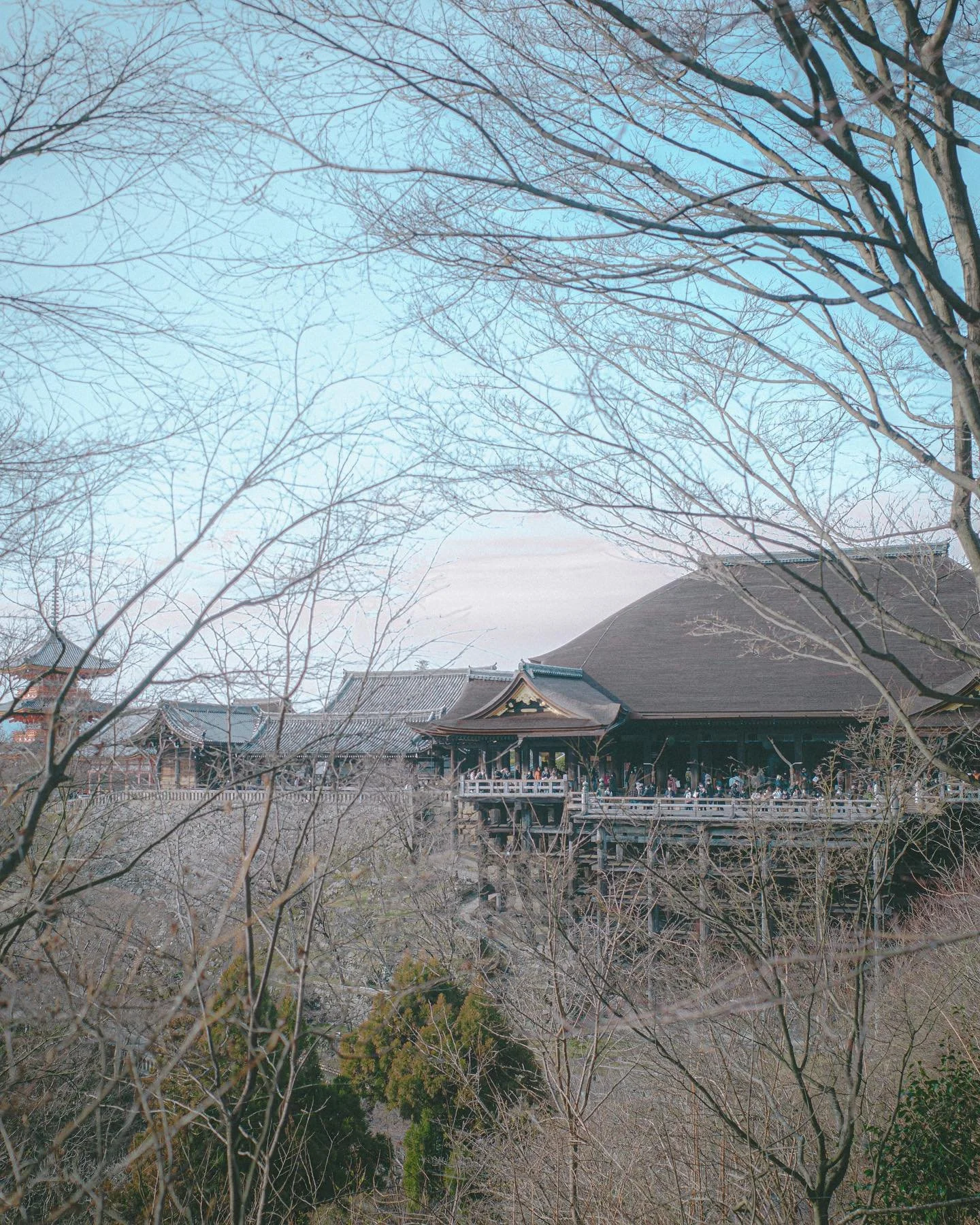 :
禪

#kyoto #kiyomisudera #landscape 
#ricohgriii #ricoh 
#travelisgood #myenglishisgoodest