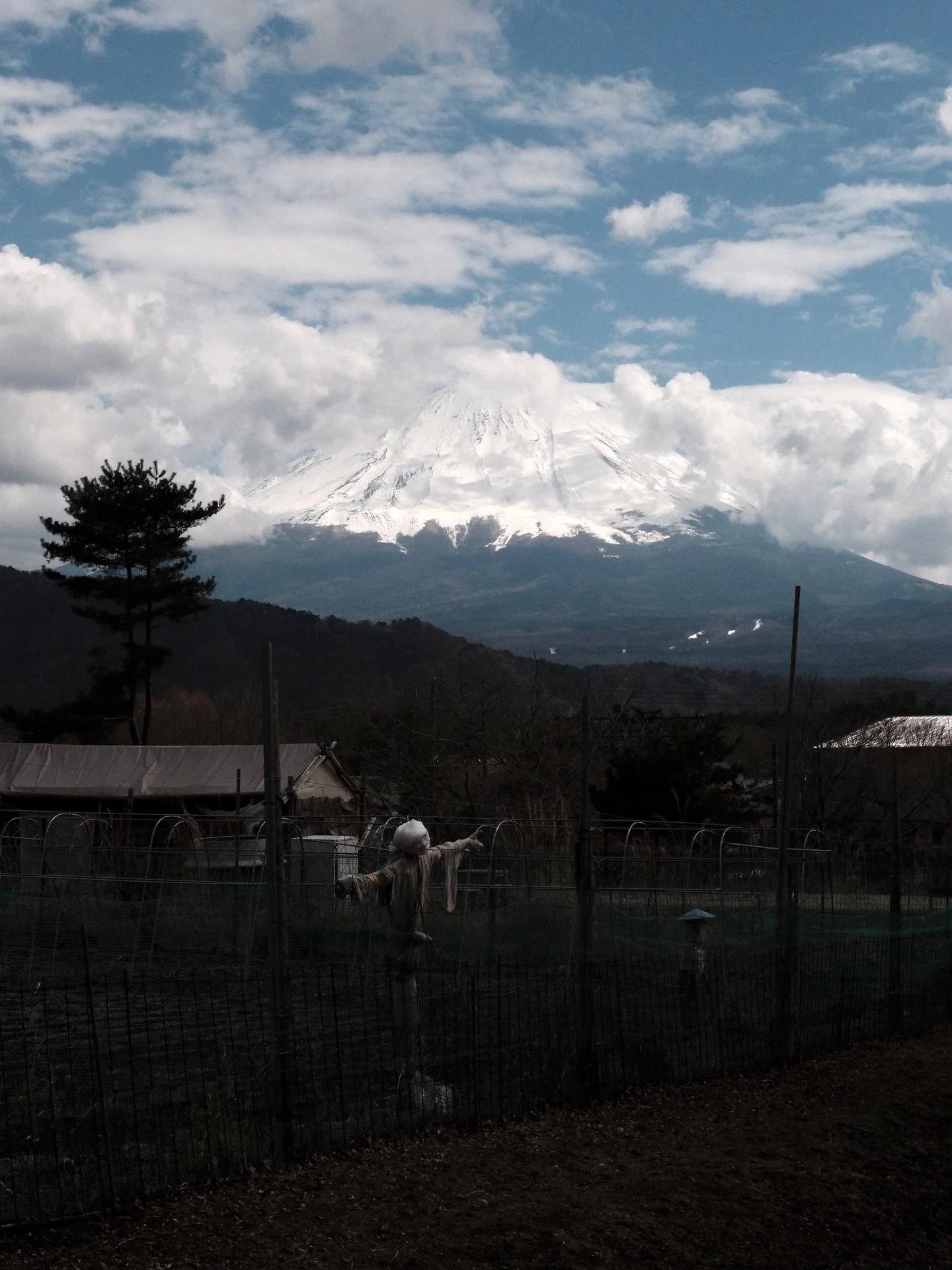 -
想post 唔想執
就係咁

好伙伴 #fujifilmxe5 📷

#mtfuji #fujifilm #portra400