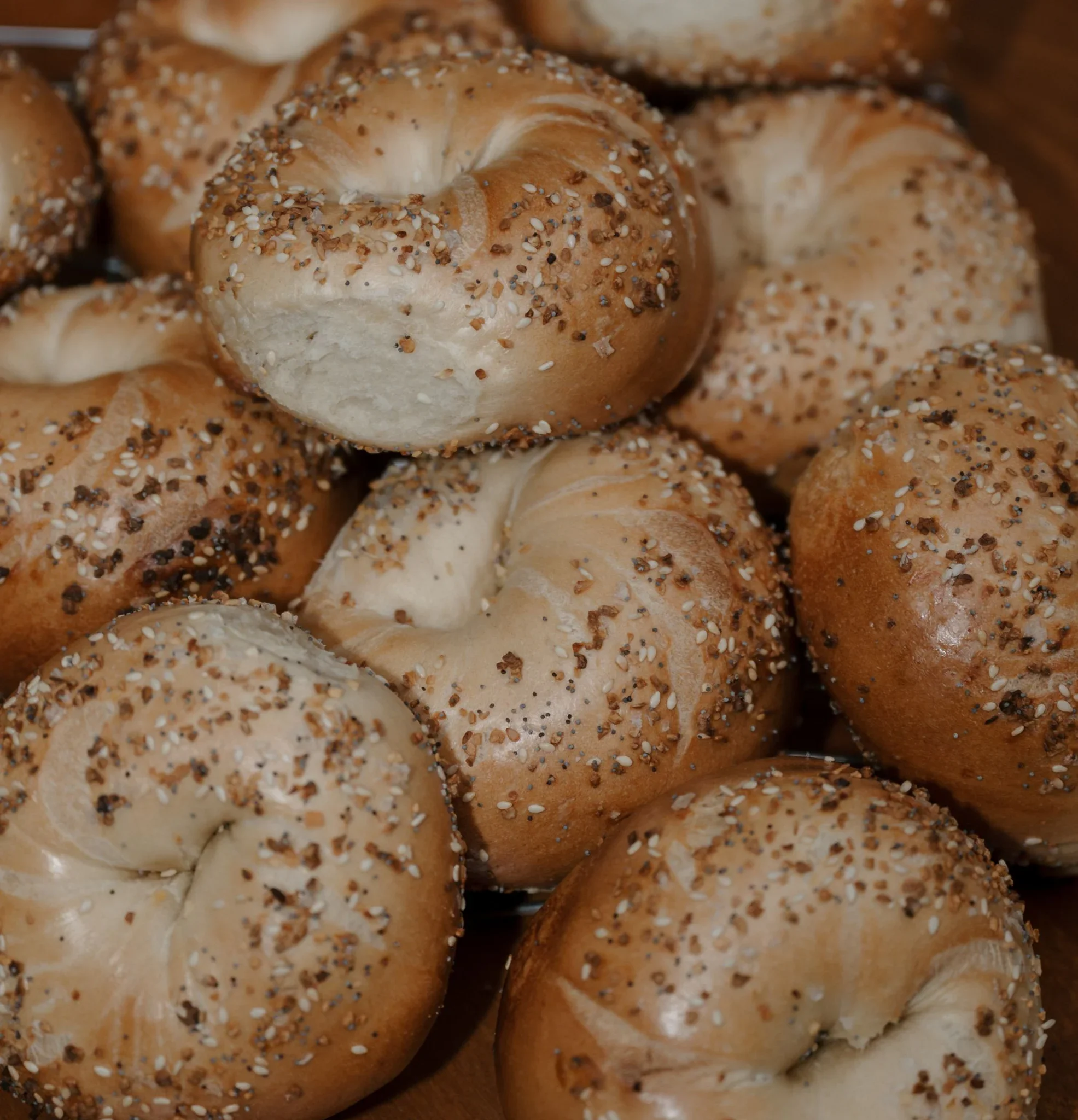 How bagel businesses grow on Hotplate
