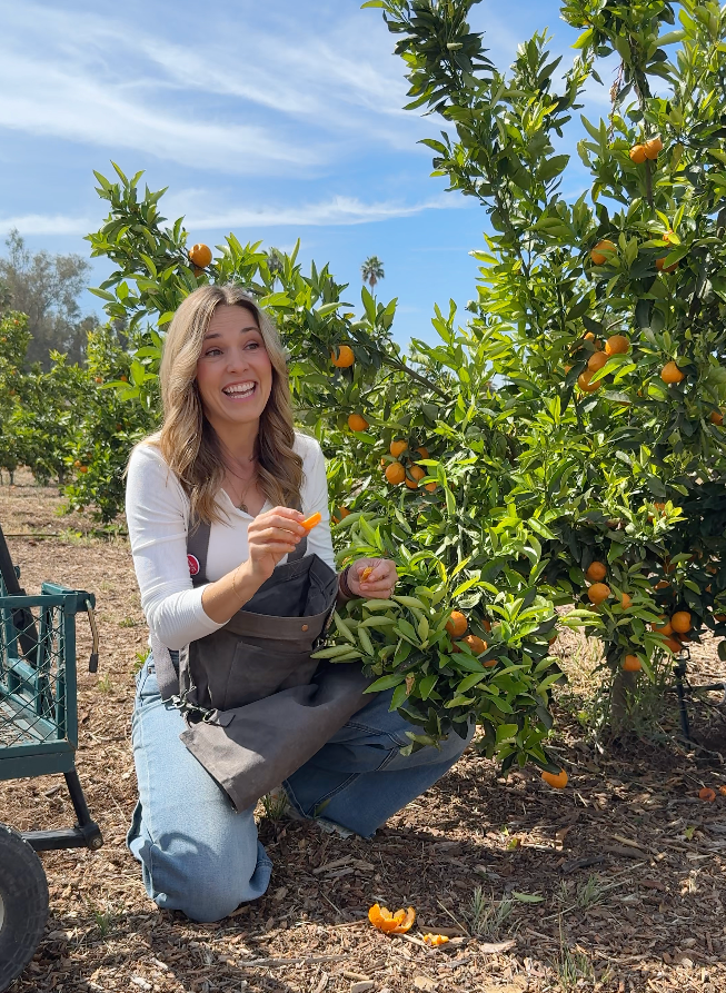 Gold Acre Farm: how one family left city burnout to start the citrus farm of their dreams