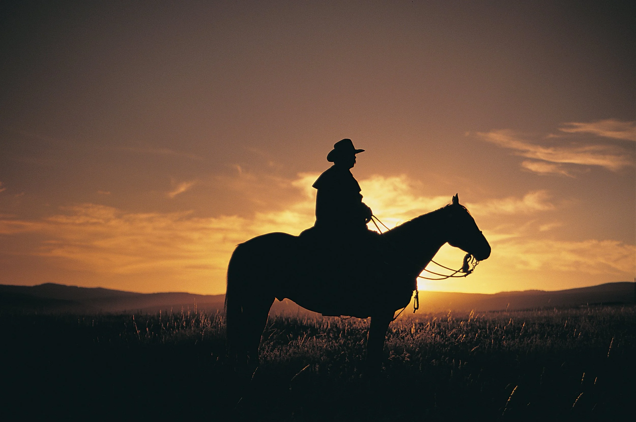 western_cowboy_sunrise.jpg