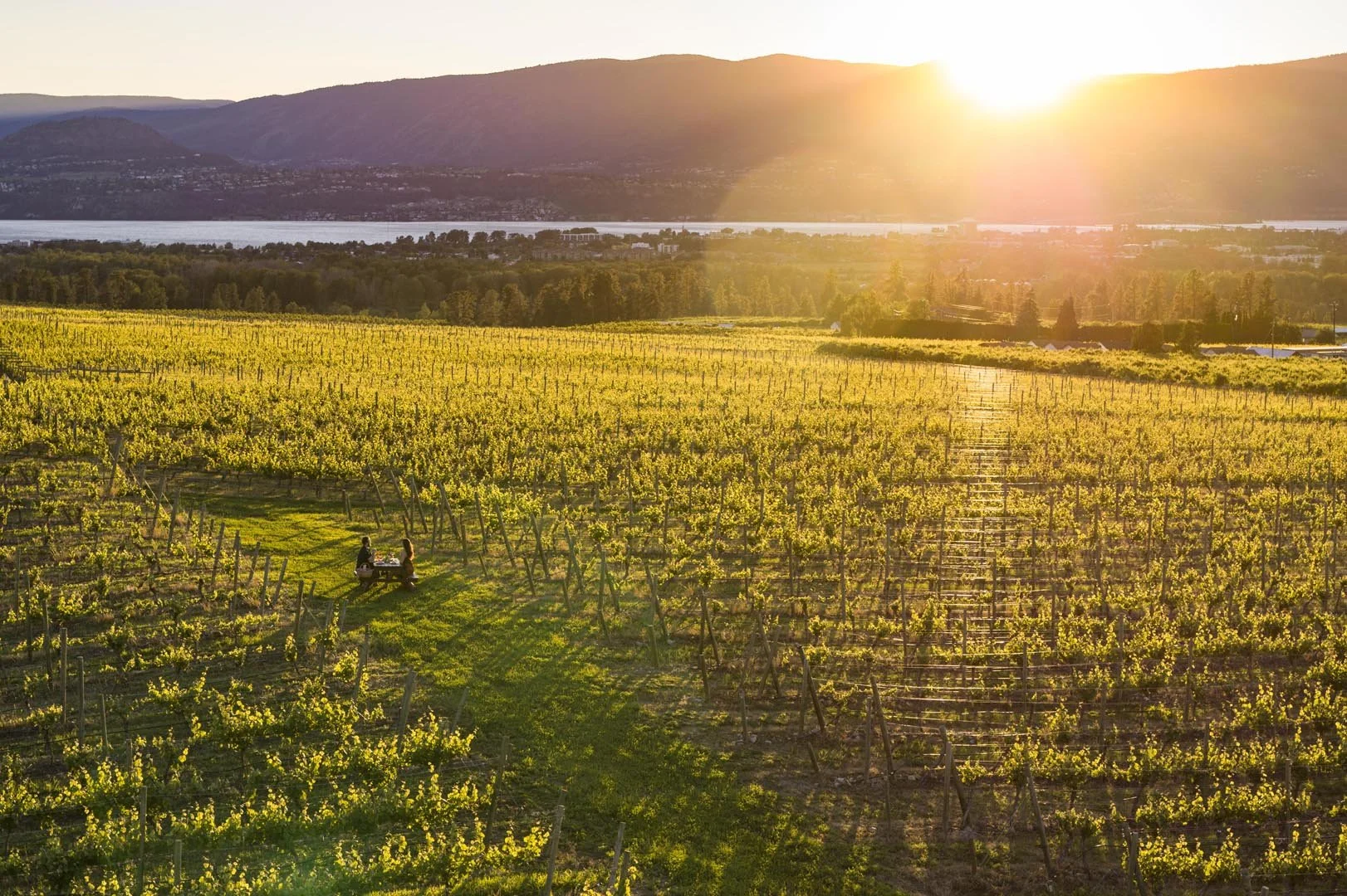 Courtesy of tourismkelowna.com – Shawn Talbot Photography.jpg