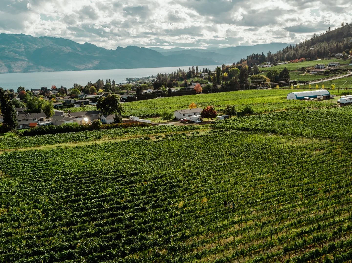 Courtesy of tourismkelowna.com – Nic Collar Film.jpg