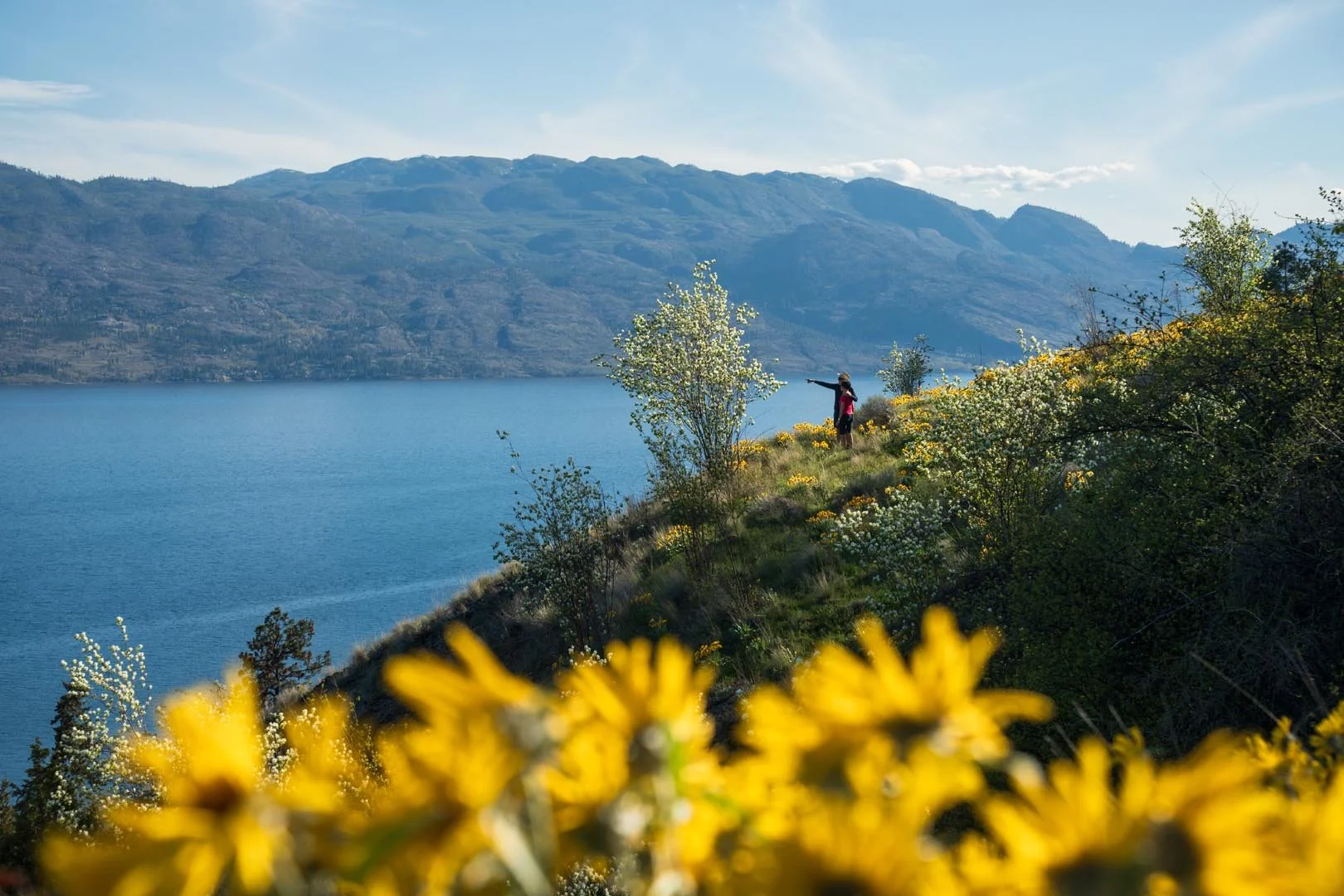Courtesy of tourismkelowna.com – Ken HagenKalamoir Regional Park 1.jpg