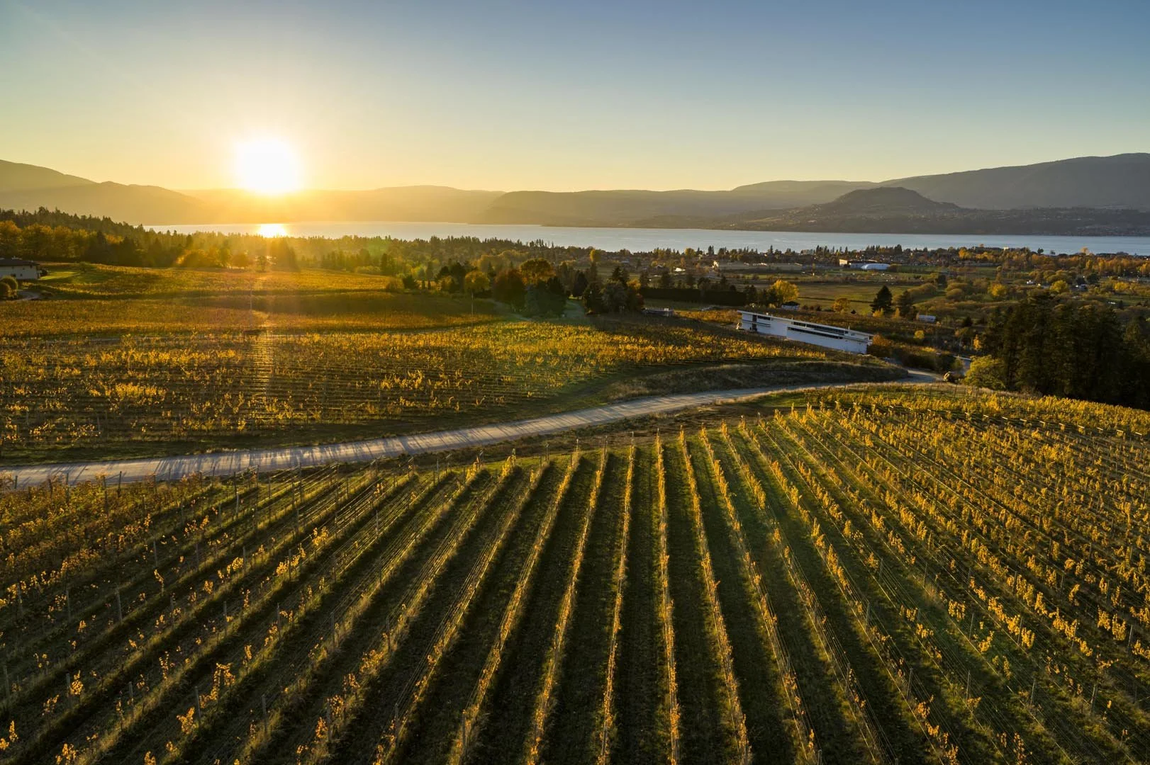 Courtesy of tourismkelowna.com Shawn Talbot Photography.jpg
