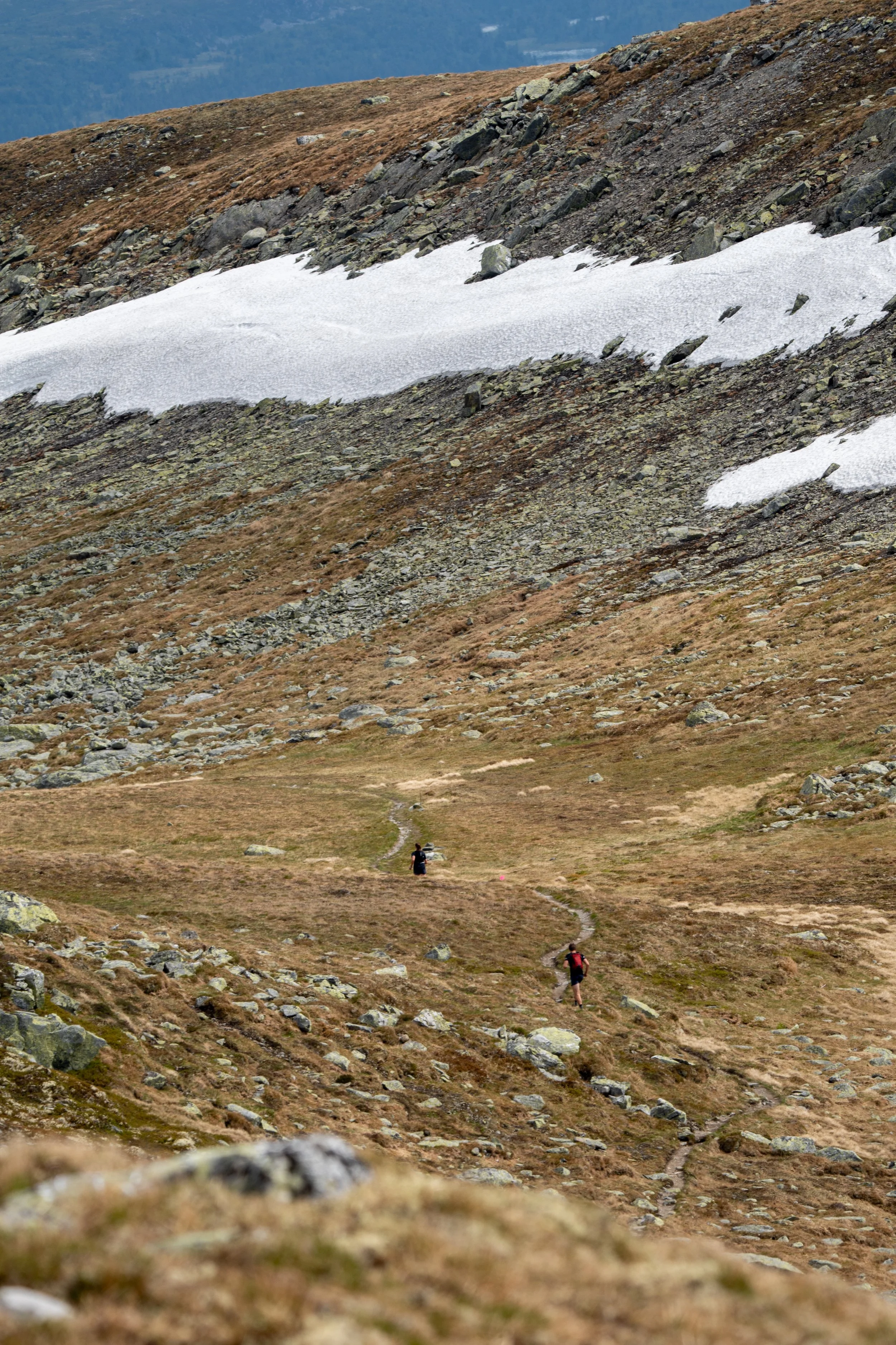 synnfjell.skyrace.2026-64.jpg