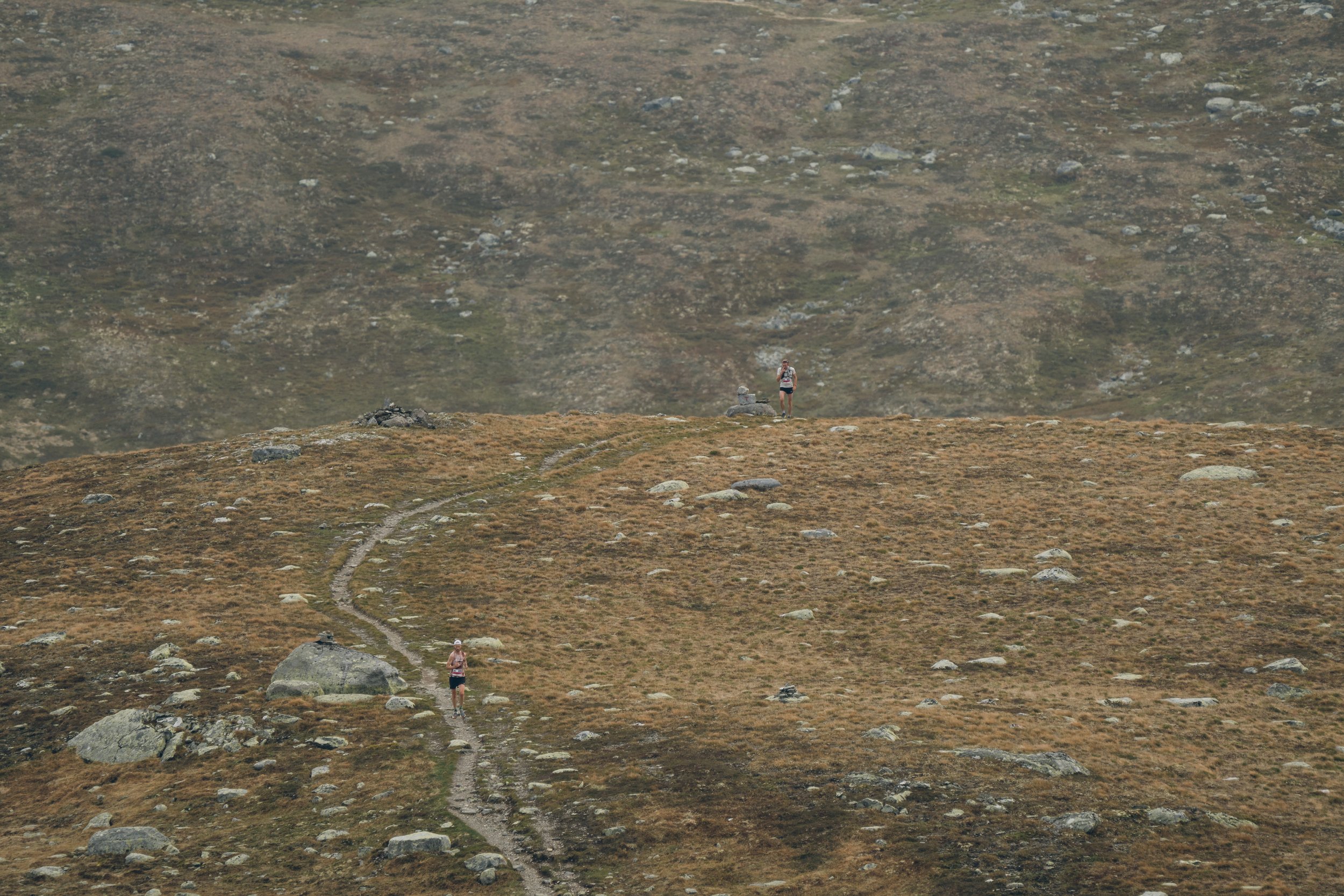 synnfjell.skyrace.2026.jpg