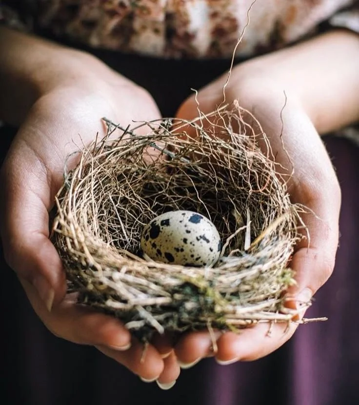 Hands holding a nest with a speckled egg inside.