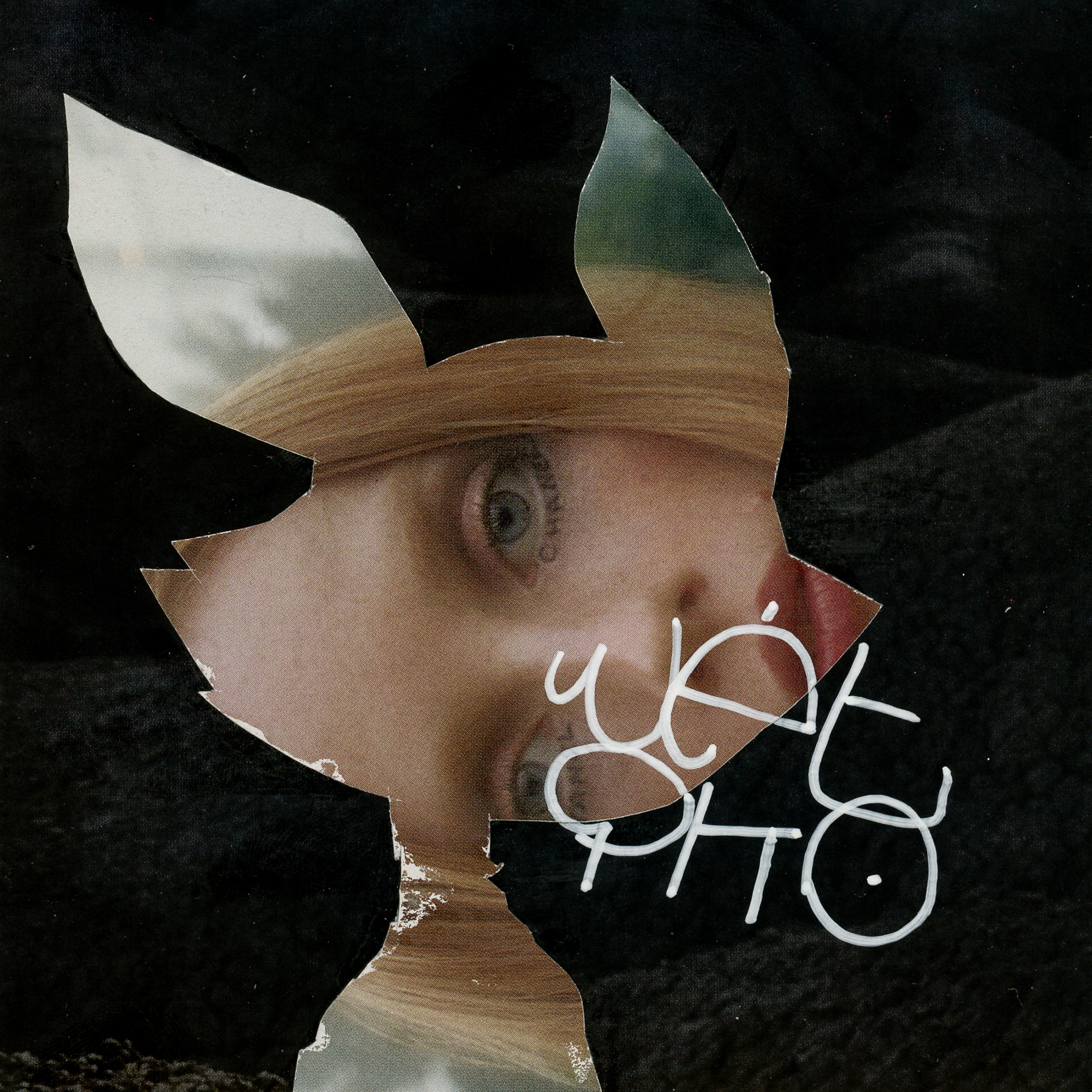 817.png