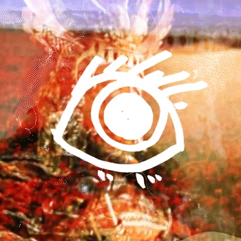 WETIKO-VLTRR-Edith-Eye-SMALL-14.gif