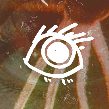 WETIKO-VLTRR-Edith-Eye-SMALL-6.gif