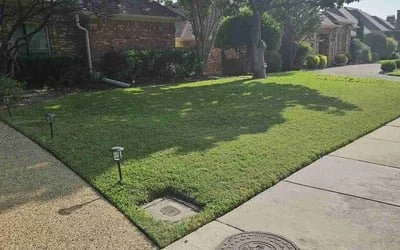 Clean, Crisp Lawn cut weekly