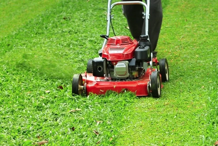 Weekly Lawn Mowing Delivers Better Results Than Biweekly Service
