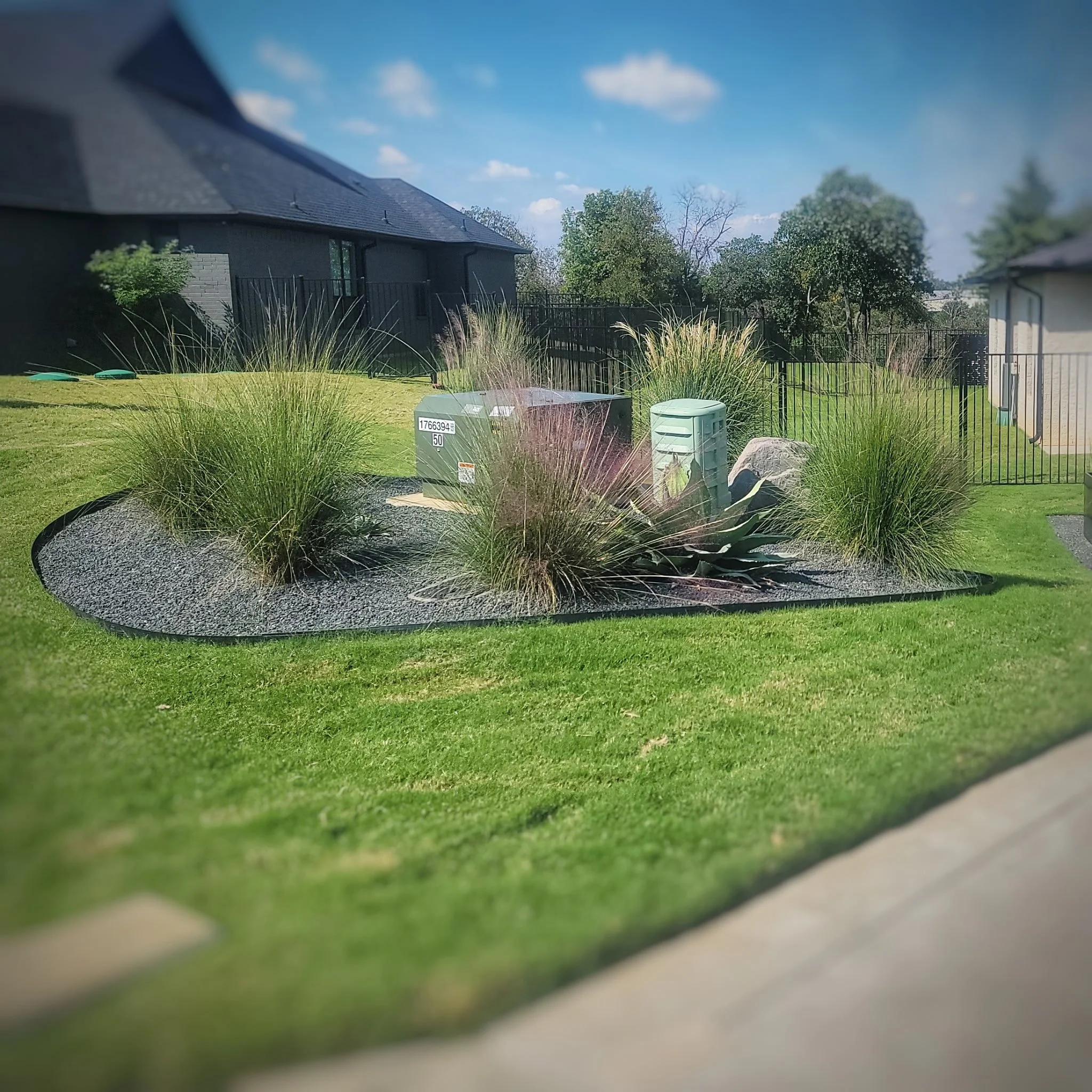 Garden 006_after.JPG